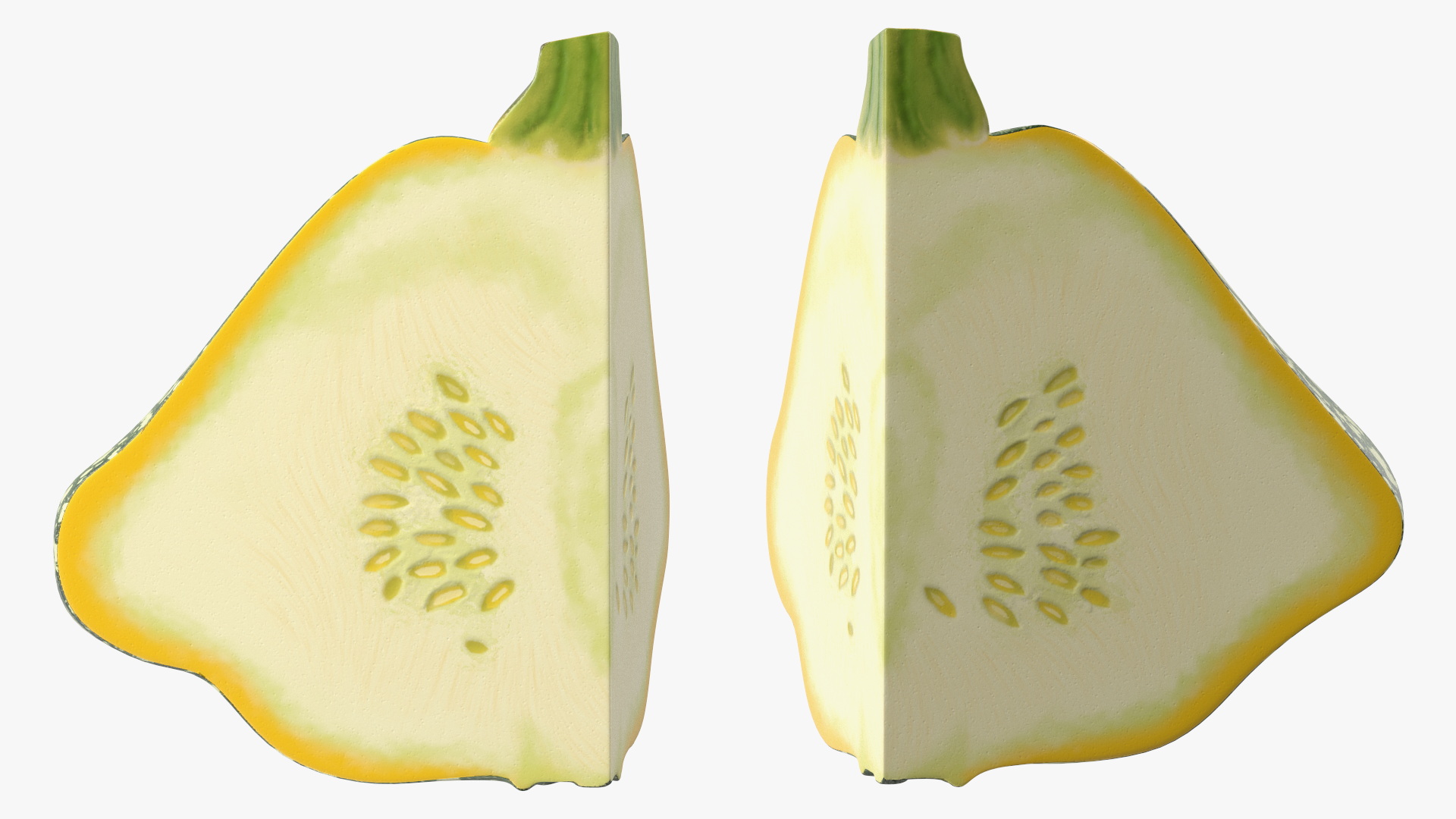 Green Color Bush Pumpkin Quarter 3D