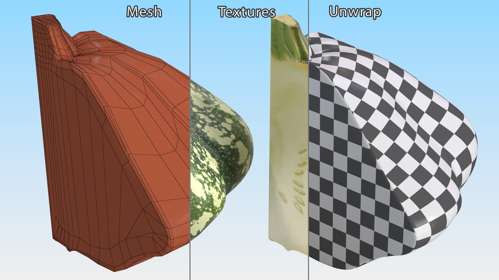 Green Color Bush Pumpkin Quarter 3D