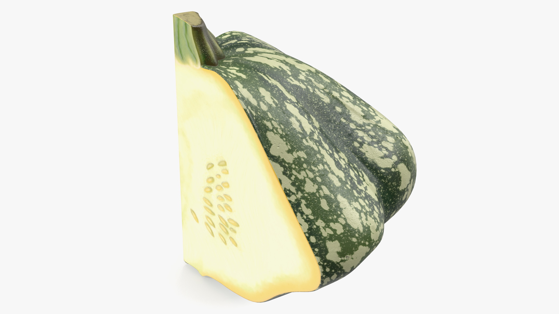 Green Color Bush Pumpkin Quarter 3D