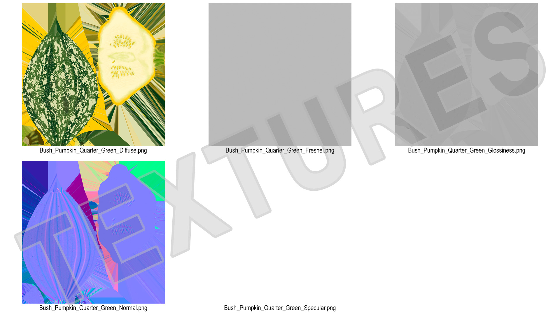 Green Color Bush Pumpkin Quarter 3D