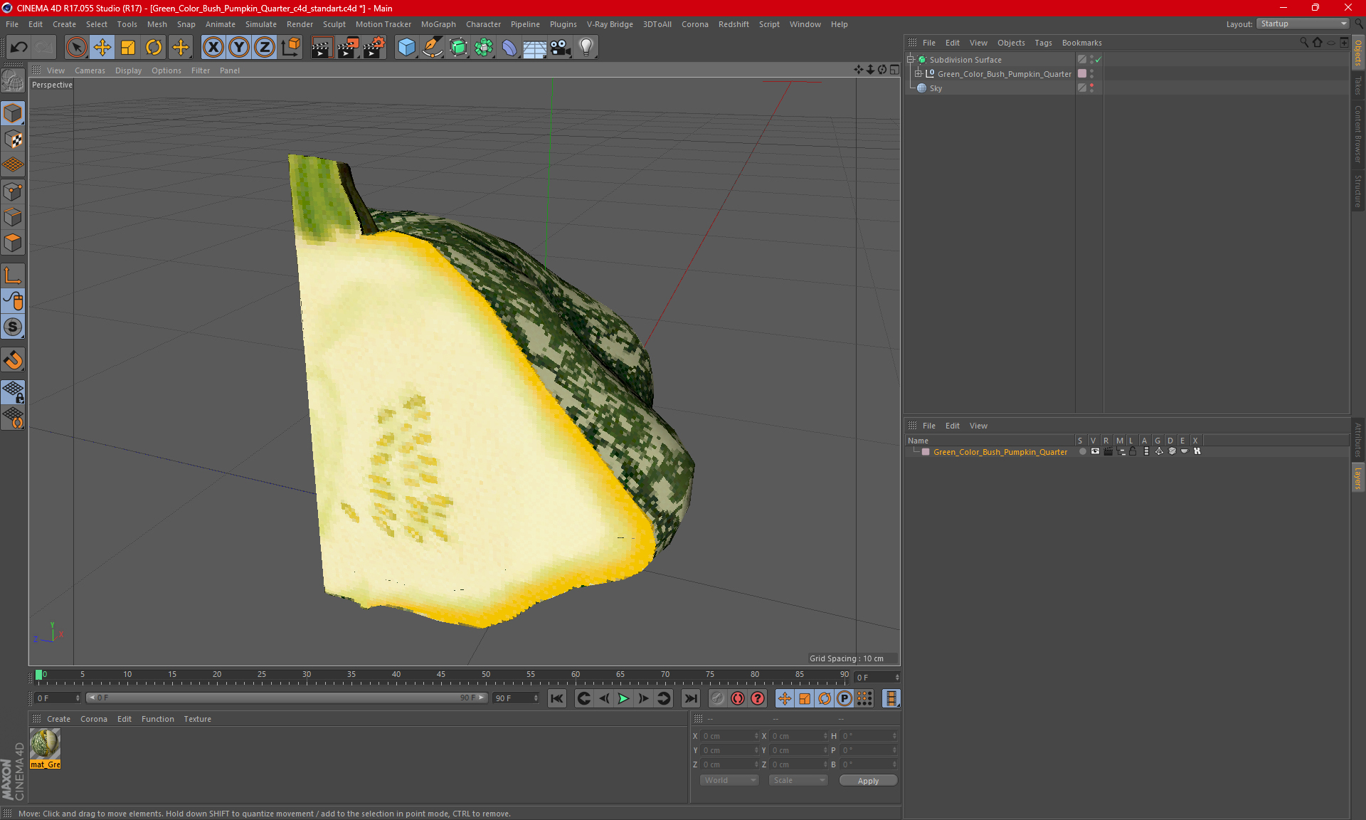 Green Color Bush Pumpkin Quarter 3D
