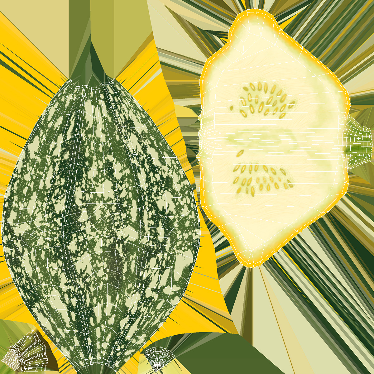 Green Color Bush Pumpkin Quarter 3D