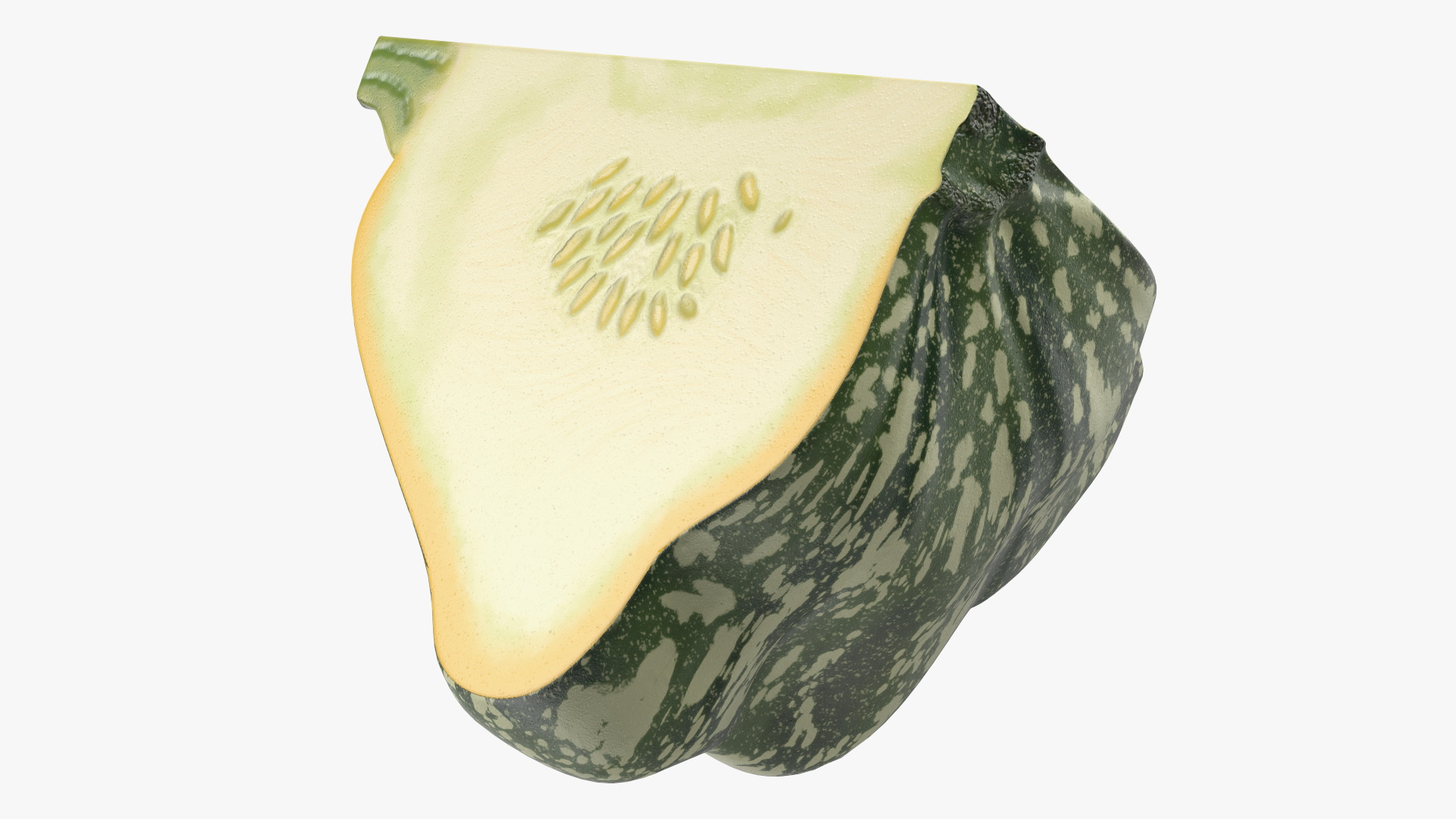 Green Color Bush Pumpkin Quarter 3D
