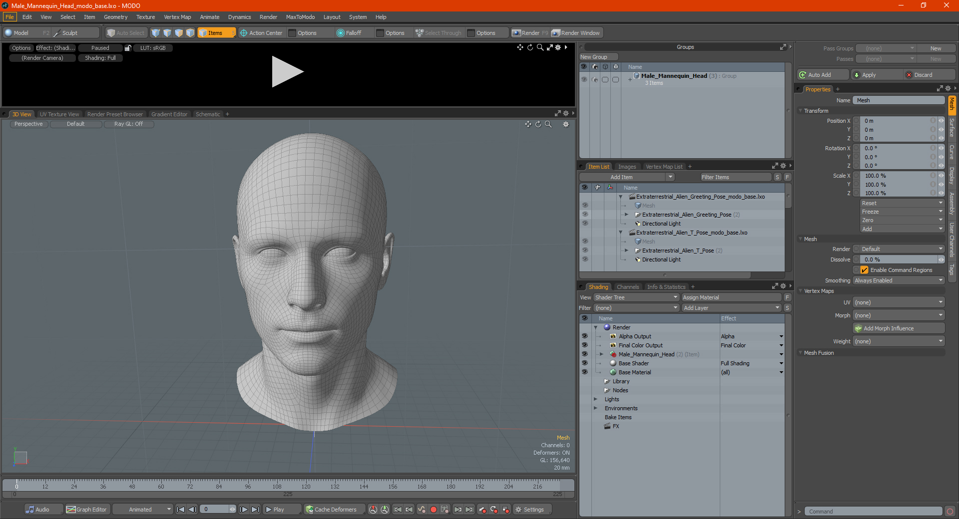Male Mannequin Head 3D model