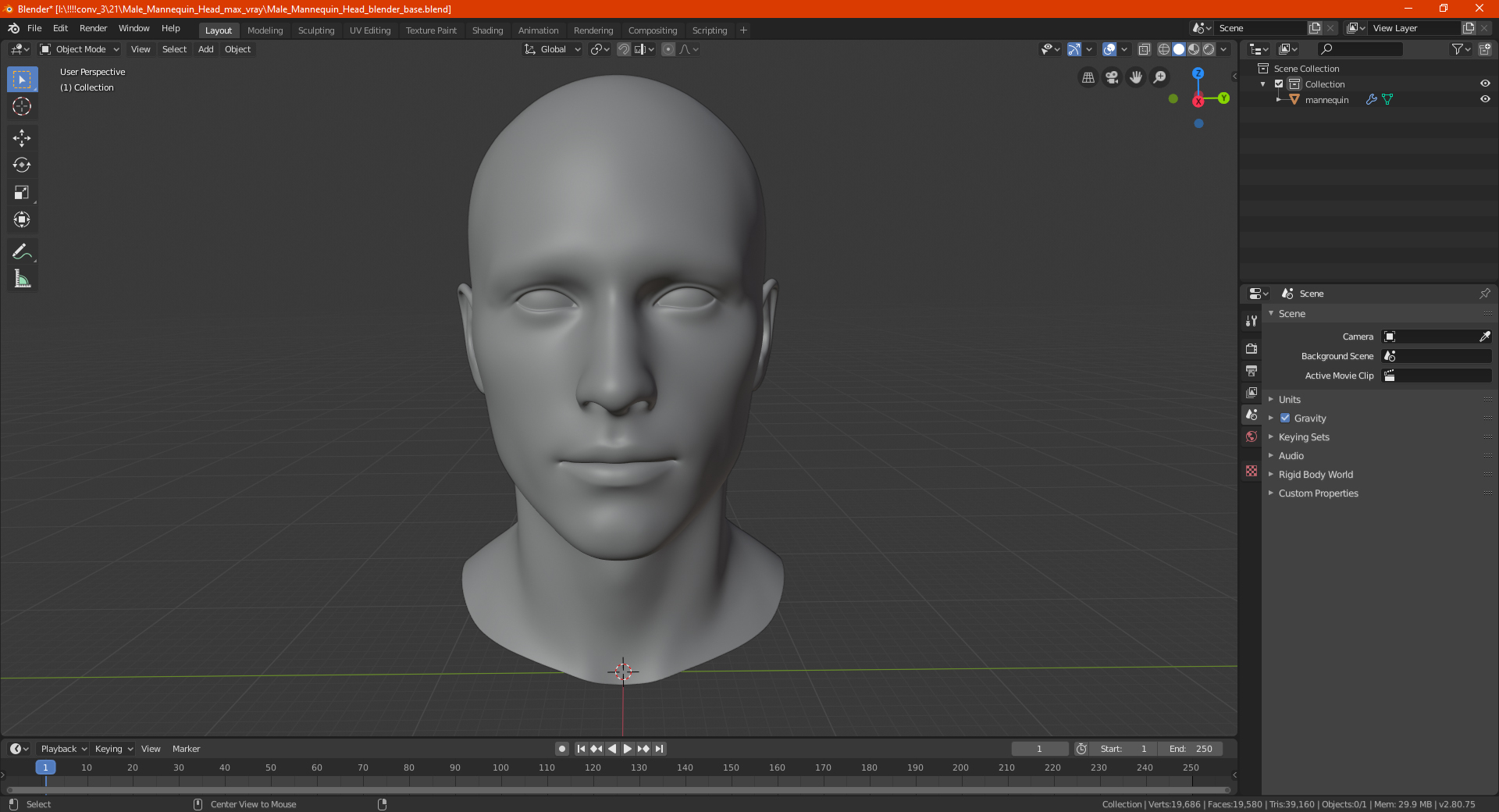 Male Mannequin Head 3D model