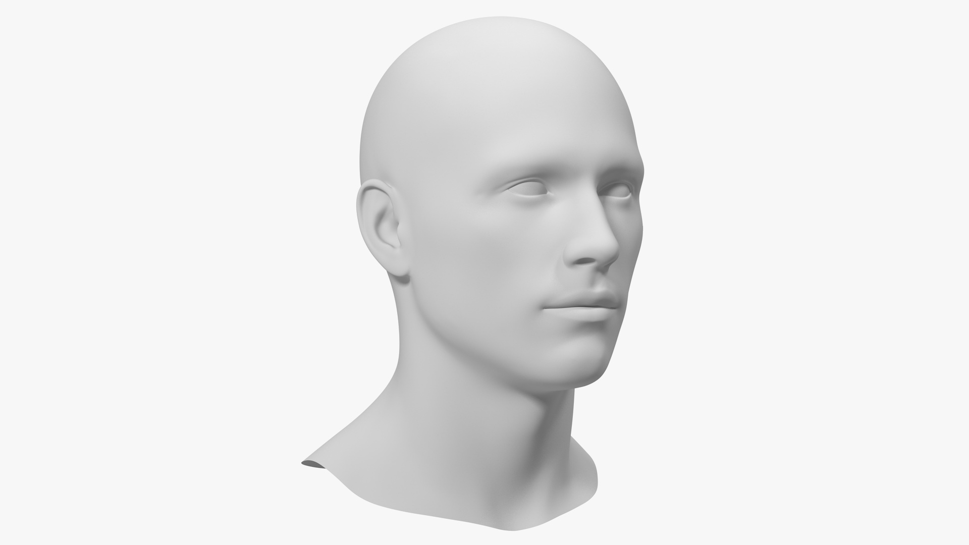 Male Mannequin Head 3D model