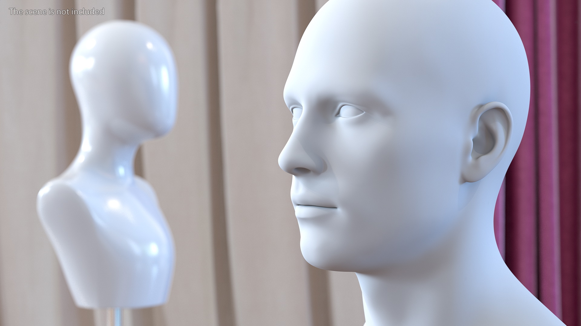 Male Mannequin Head 3D model
