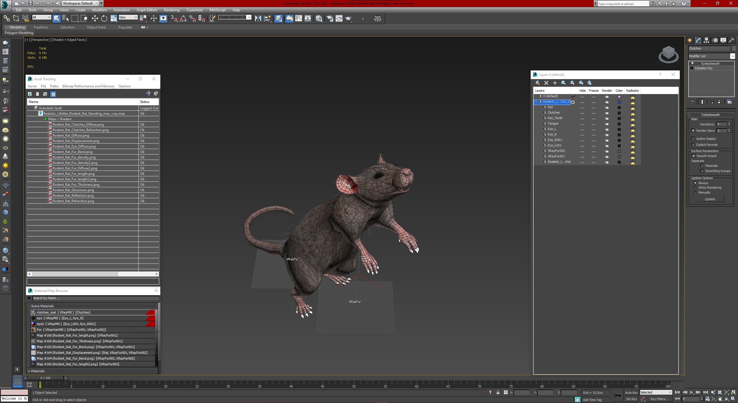 3D Realistic Lifelike Rodent Rat Standing model