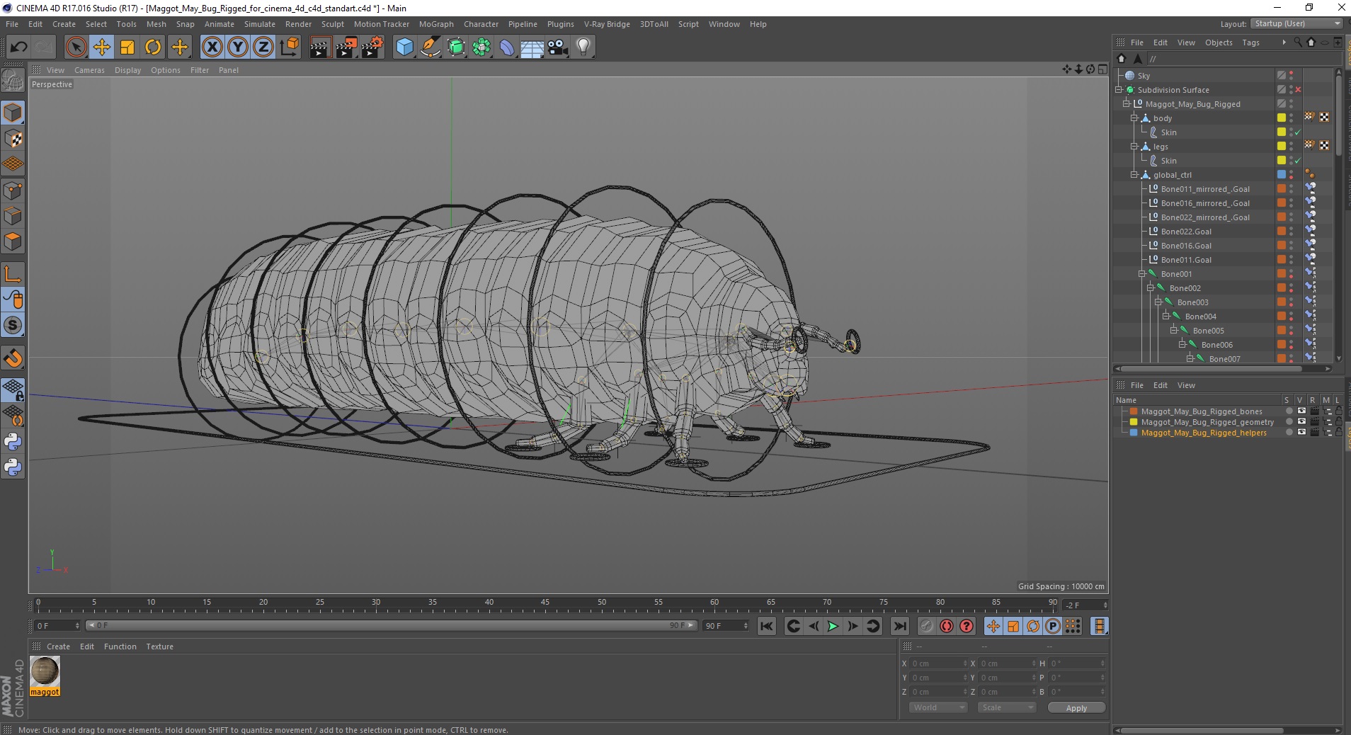 3D model Maggot May Bug Rigged for Cinema 4D