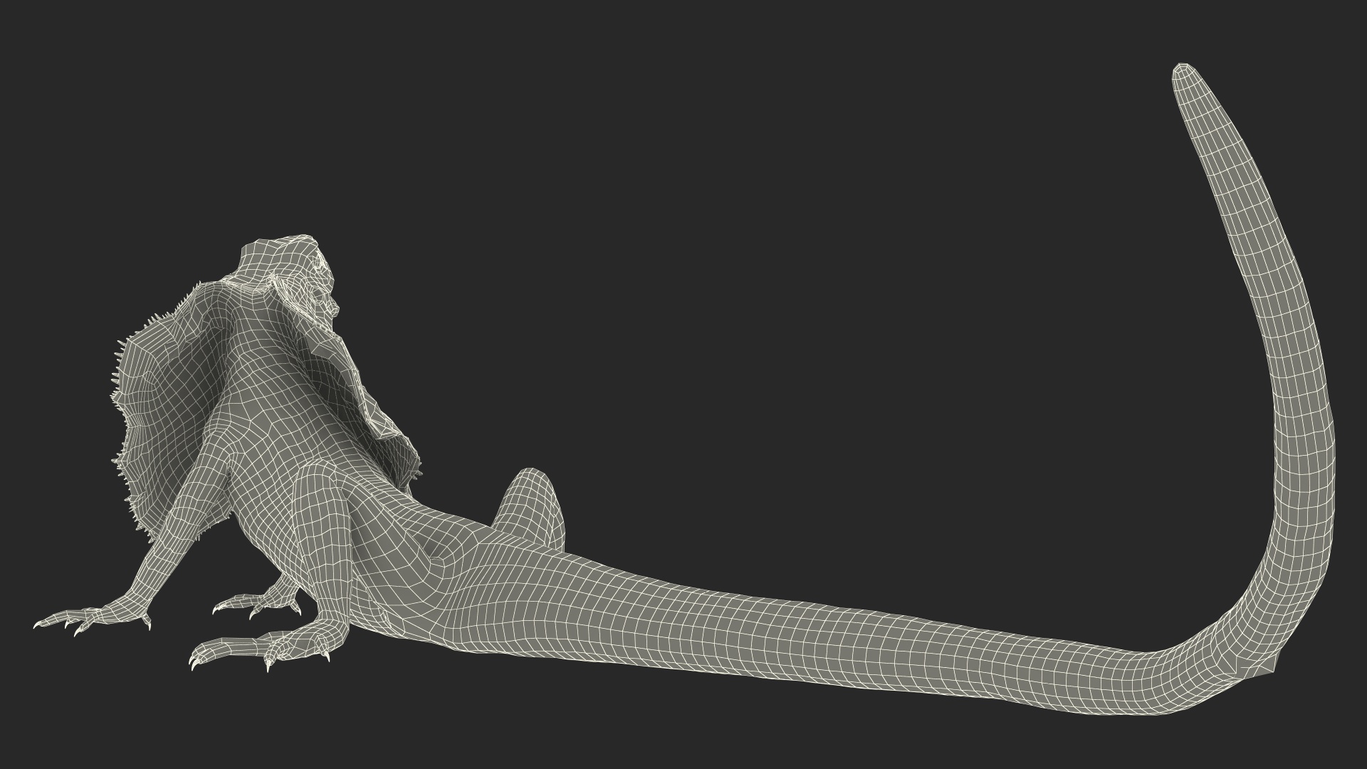 Chlamydosaurus Kingii Angry Pose 3D