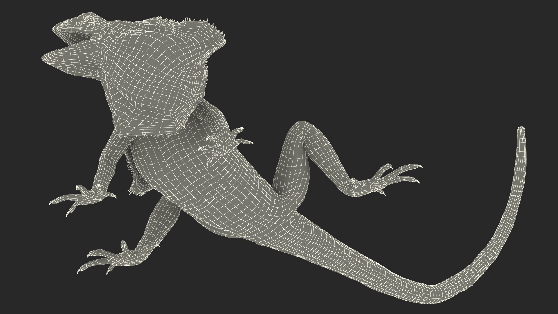 Chlamydosaurus Kingii Angry Pose 3D