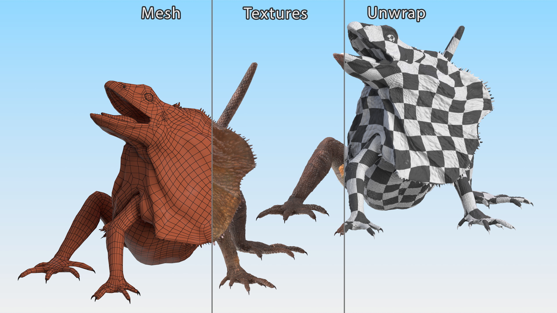 Chlamydosaurus Kingii Angry Pose 3D