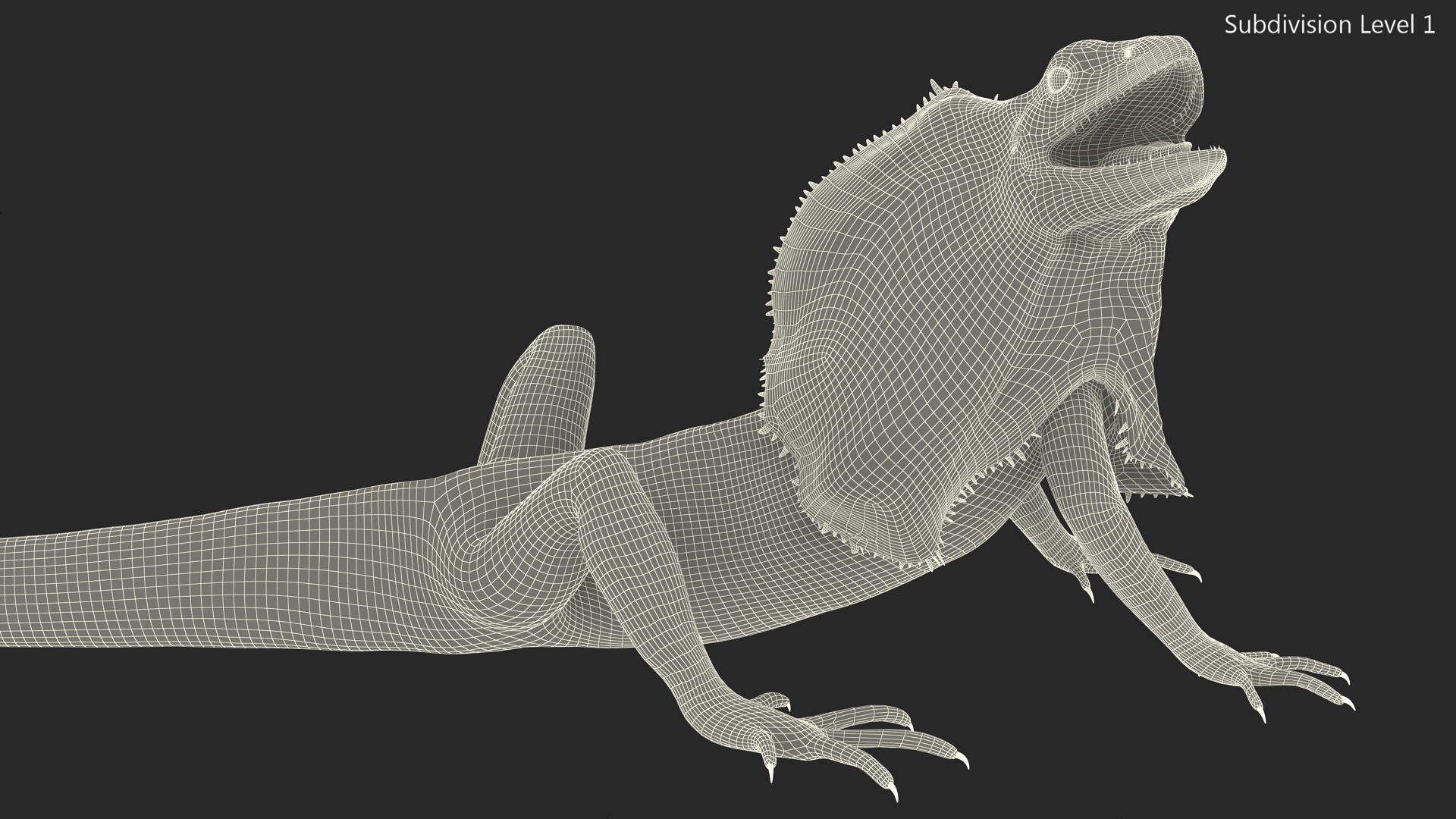 Chlamydosaurus Kingii Angry Pose 3D