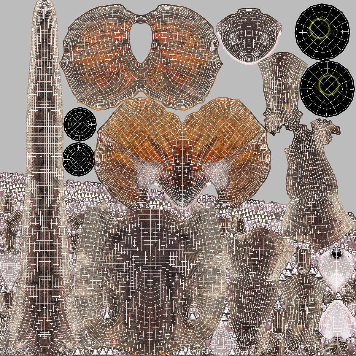 Chlamydosaurus Kingii Angry Pose 3D