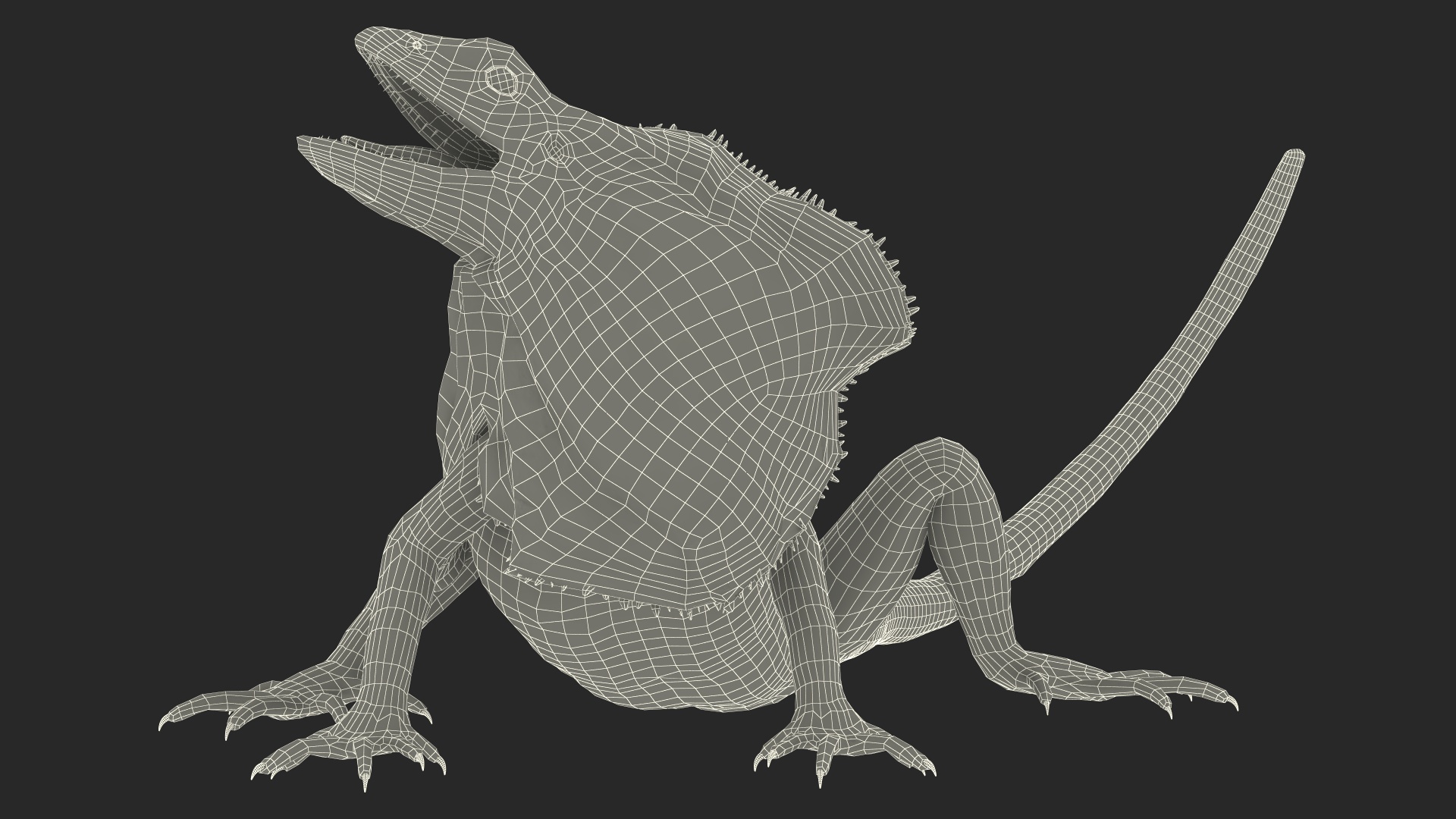 Chlamydosaurus Kingii Angry Pose 3D