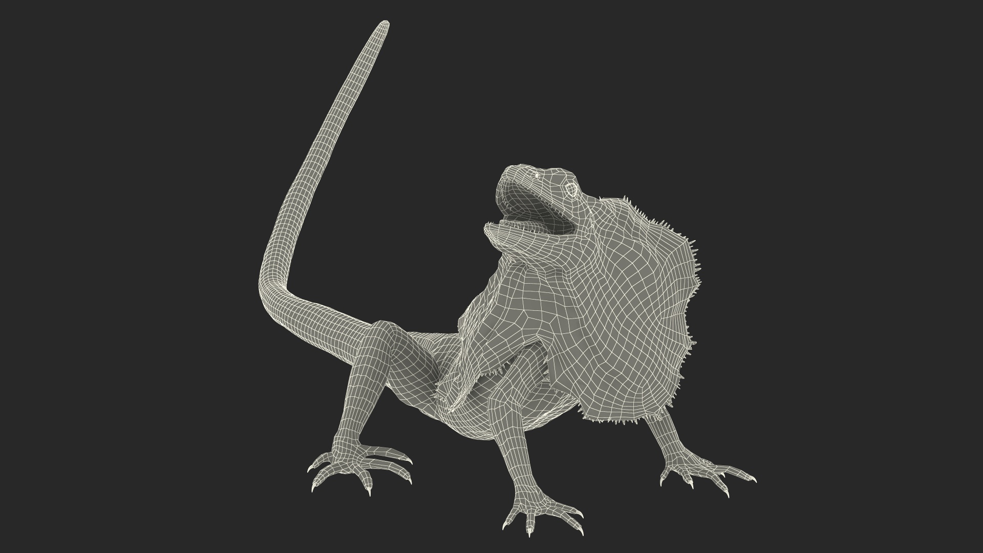 Chlamydosaurus Kingii Angry Pose 3D