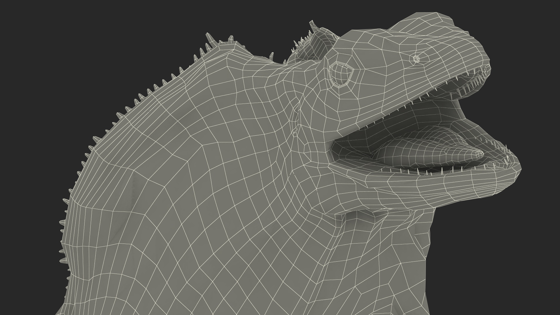 Chlamydosaurus Kingii Angry Pose 3D