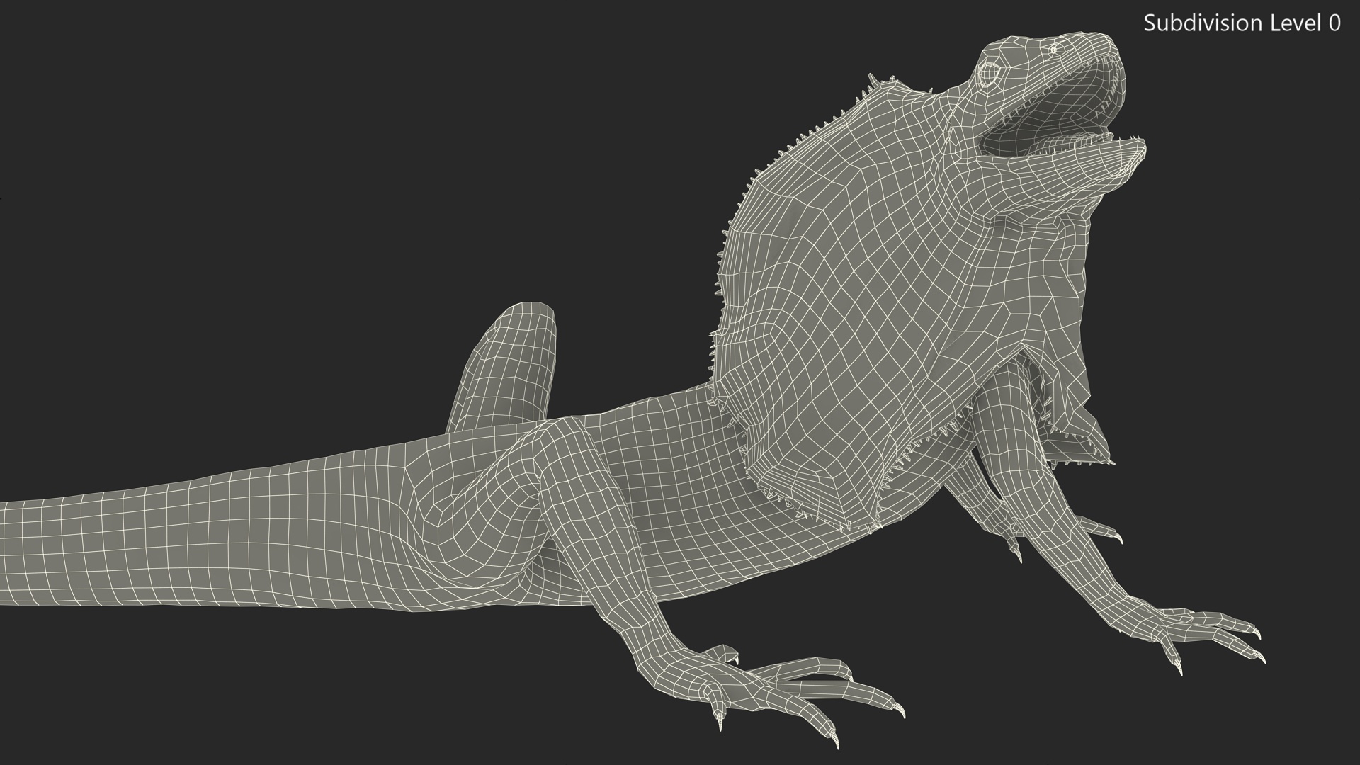 Chlamydosaurus Kingii Angry Pose 3D