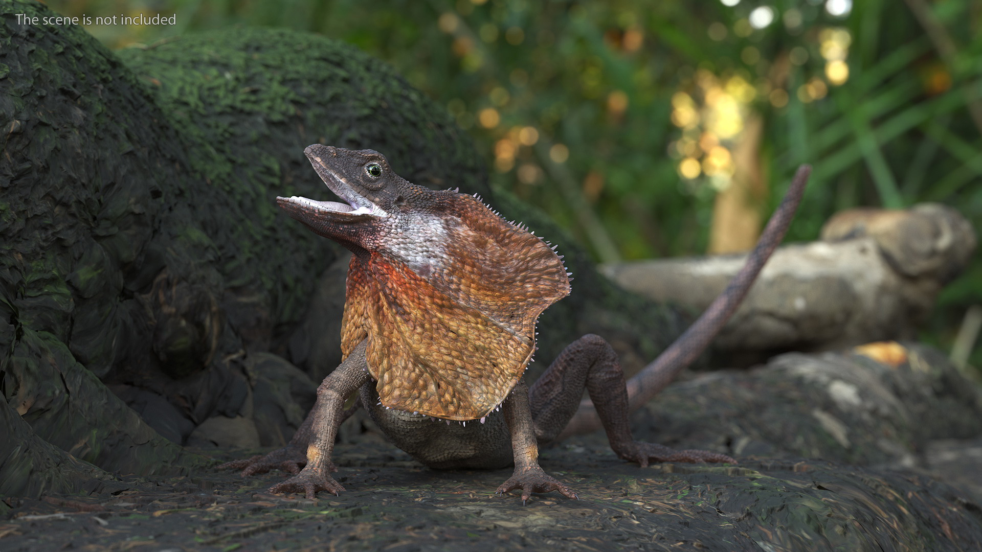 Chlamydosaurus Kingii Angry Pose 3D