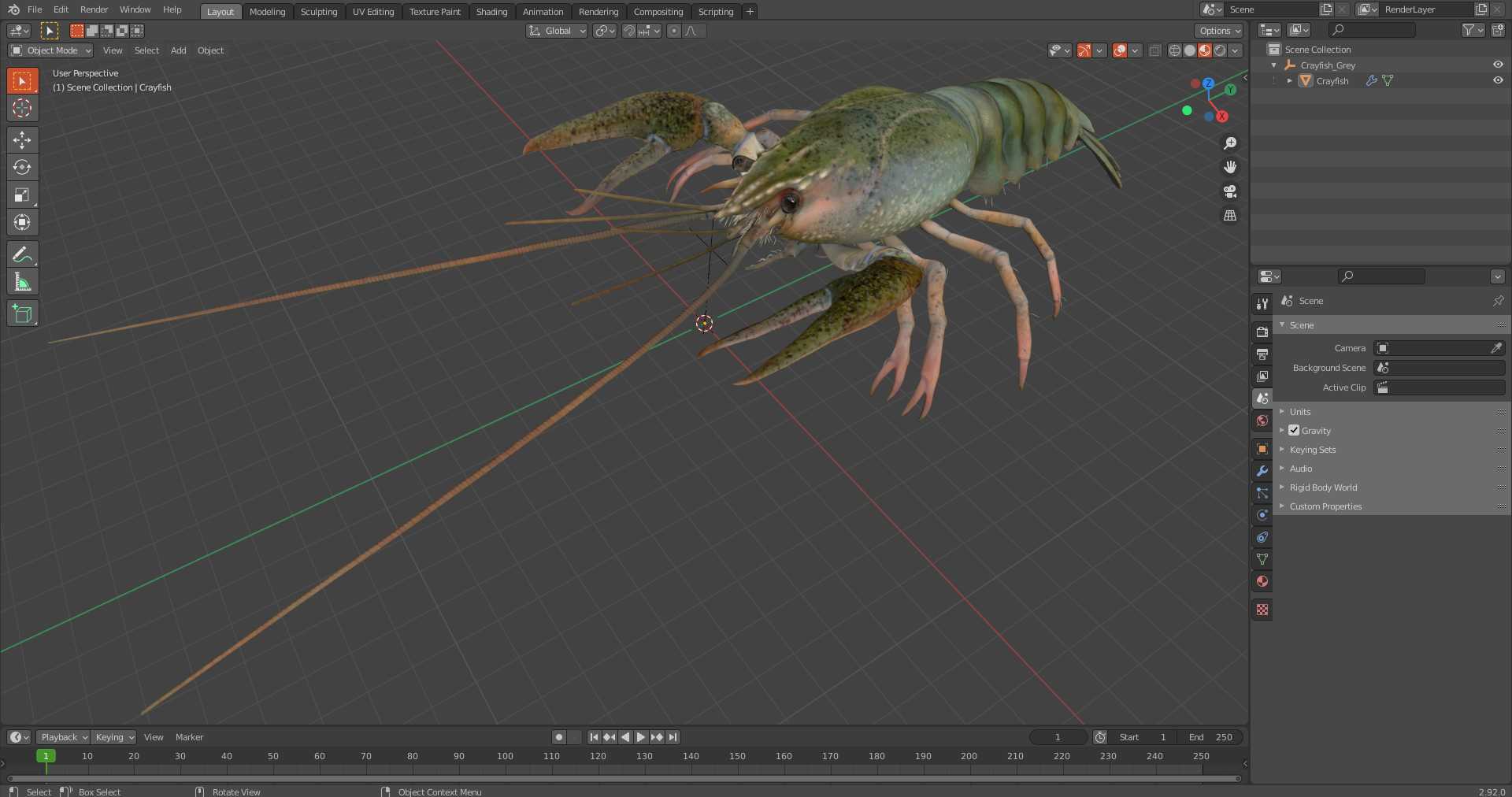 3D Crayfish Grey model