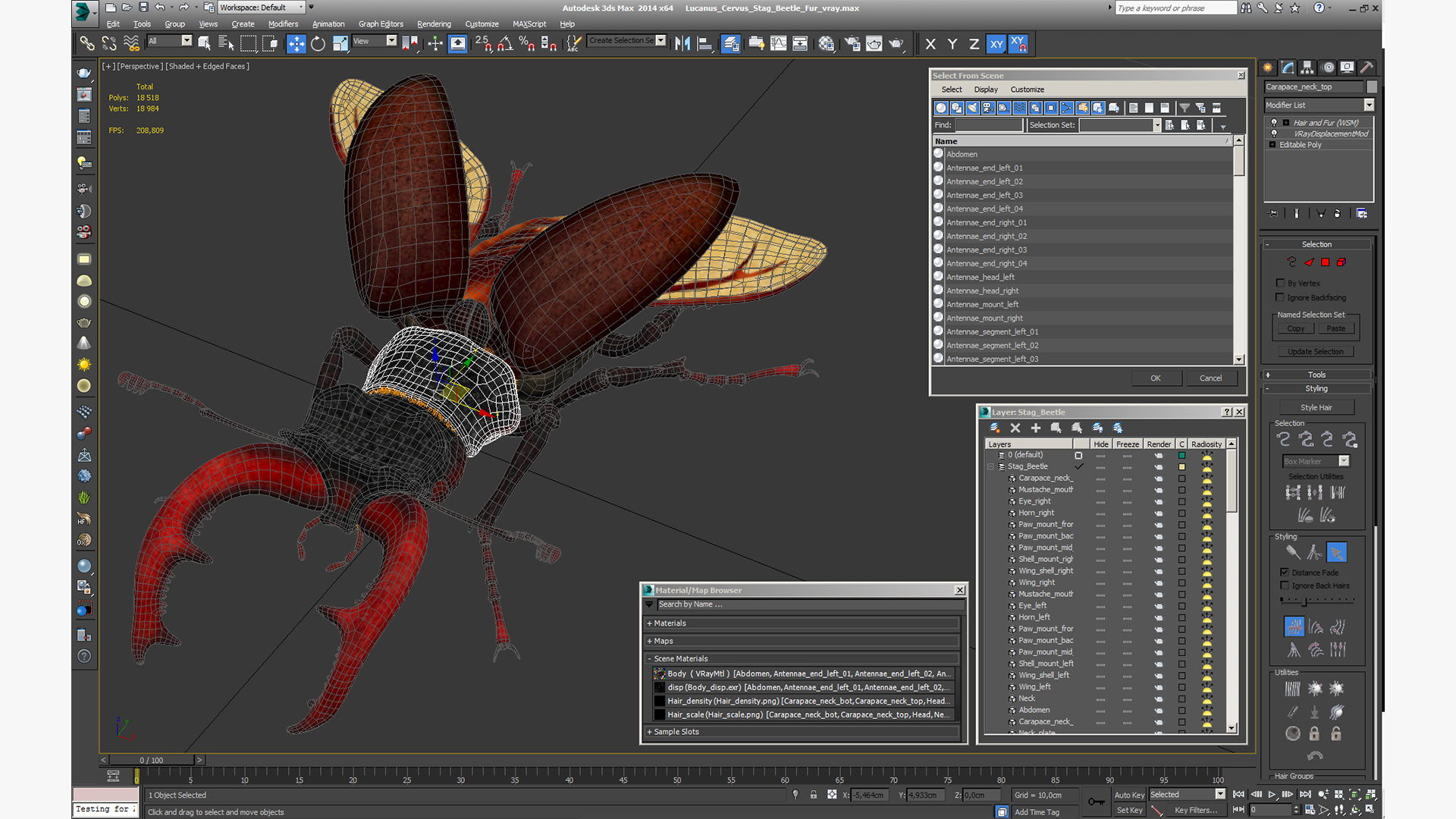 3D model Lucanus Cervus Stag Beetle Fur