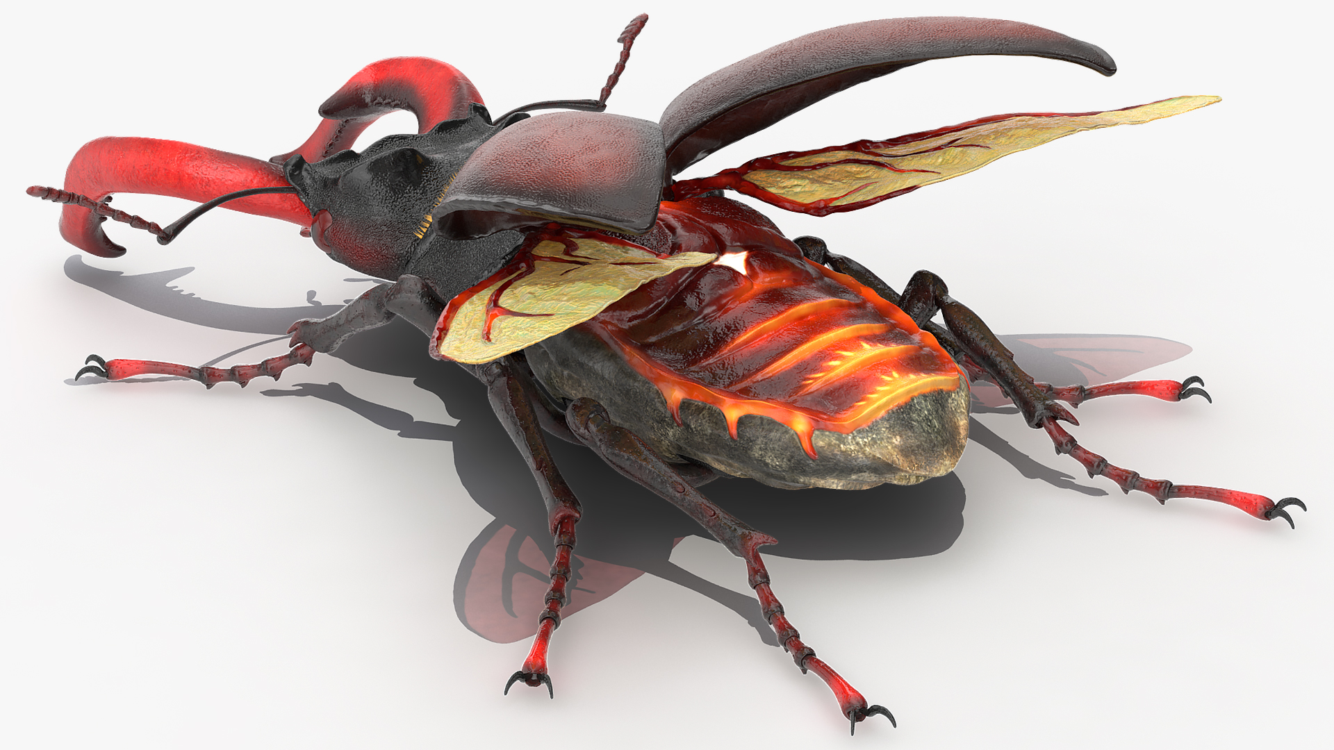 3D model Lucanus Cervus Stag Beetle Fur