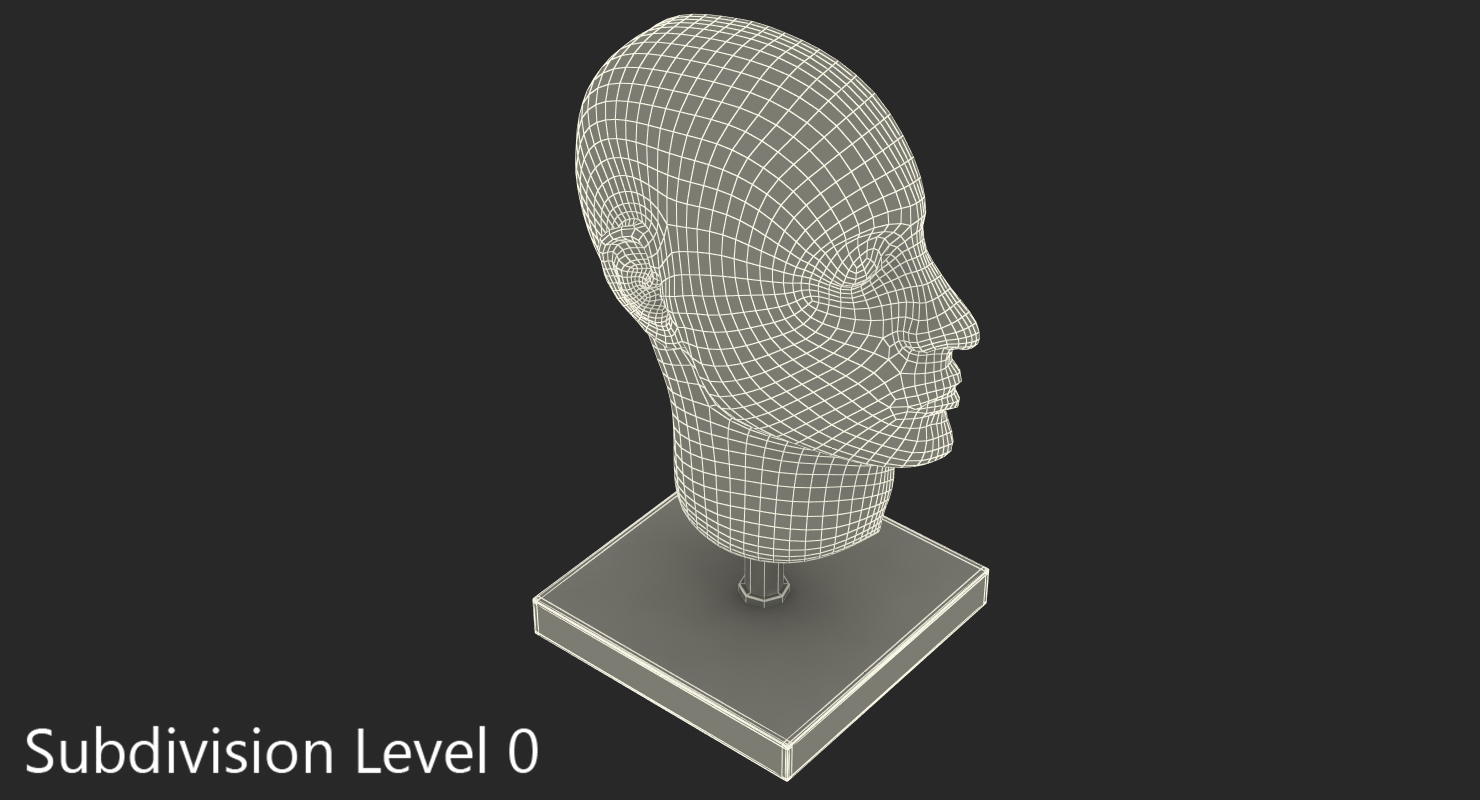 3D model Section Of Human Head Anatomy Model