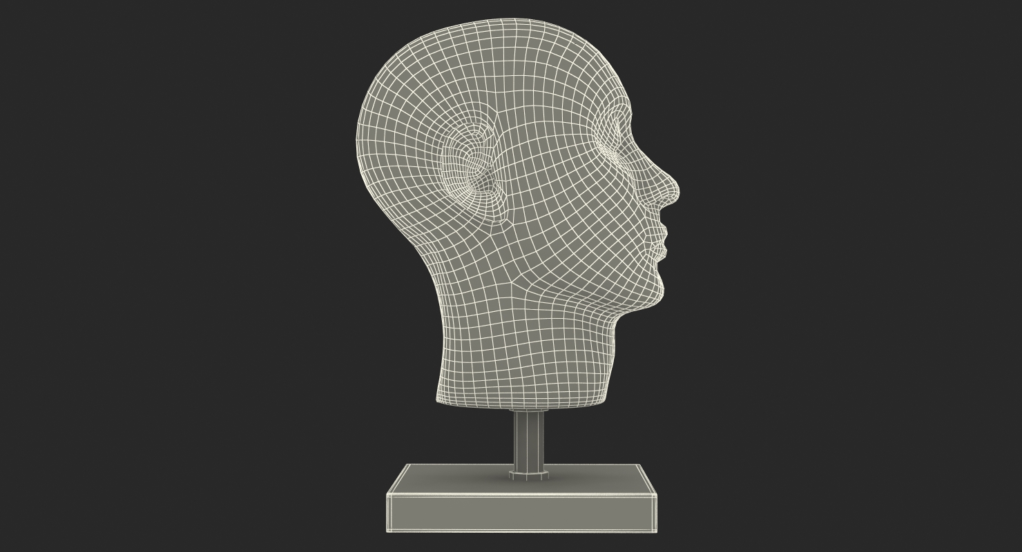3D model Section Of Human Head Anatomy Model