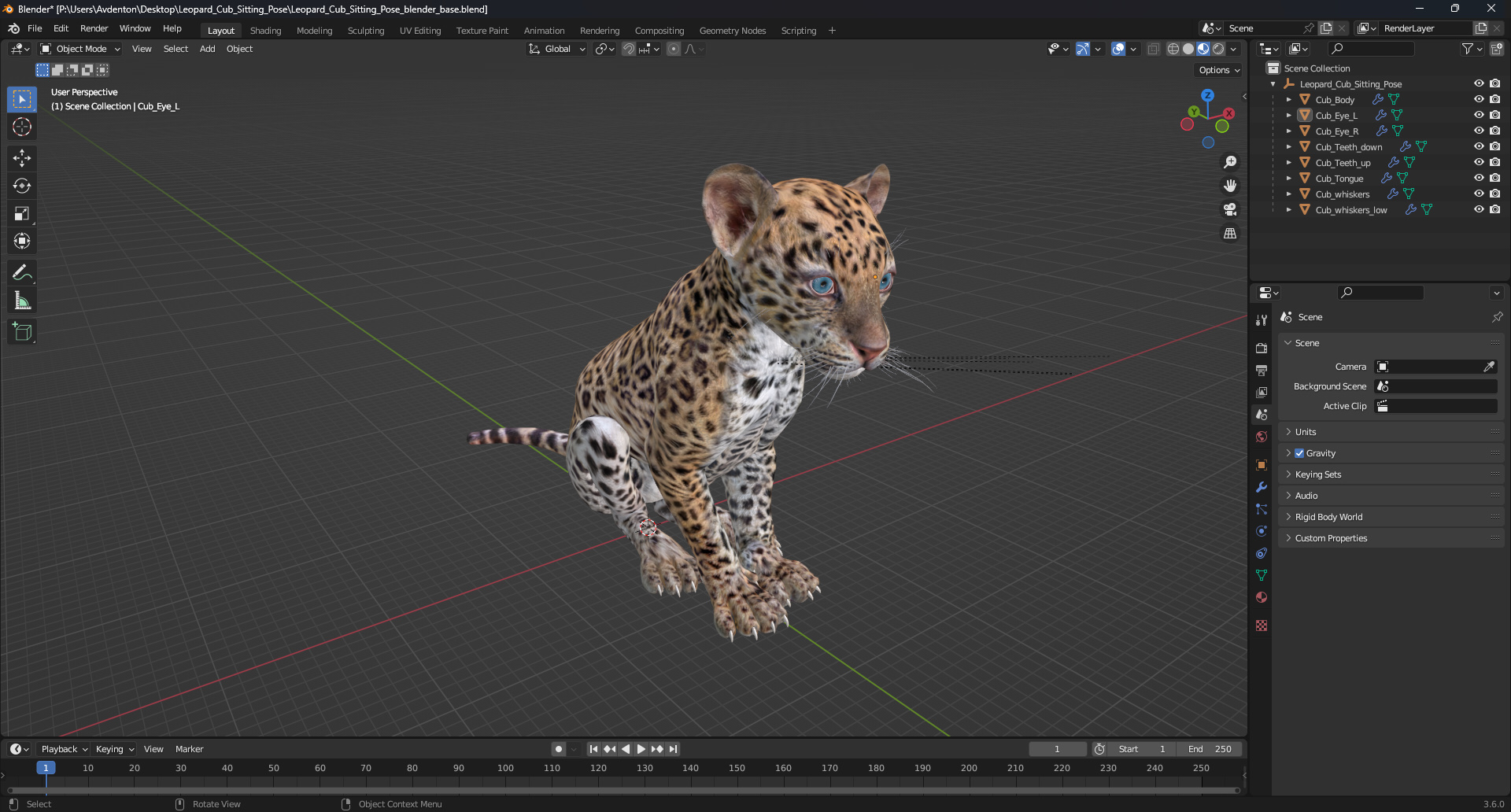 Leopard Cub Sitting Pose 3D model