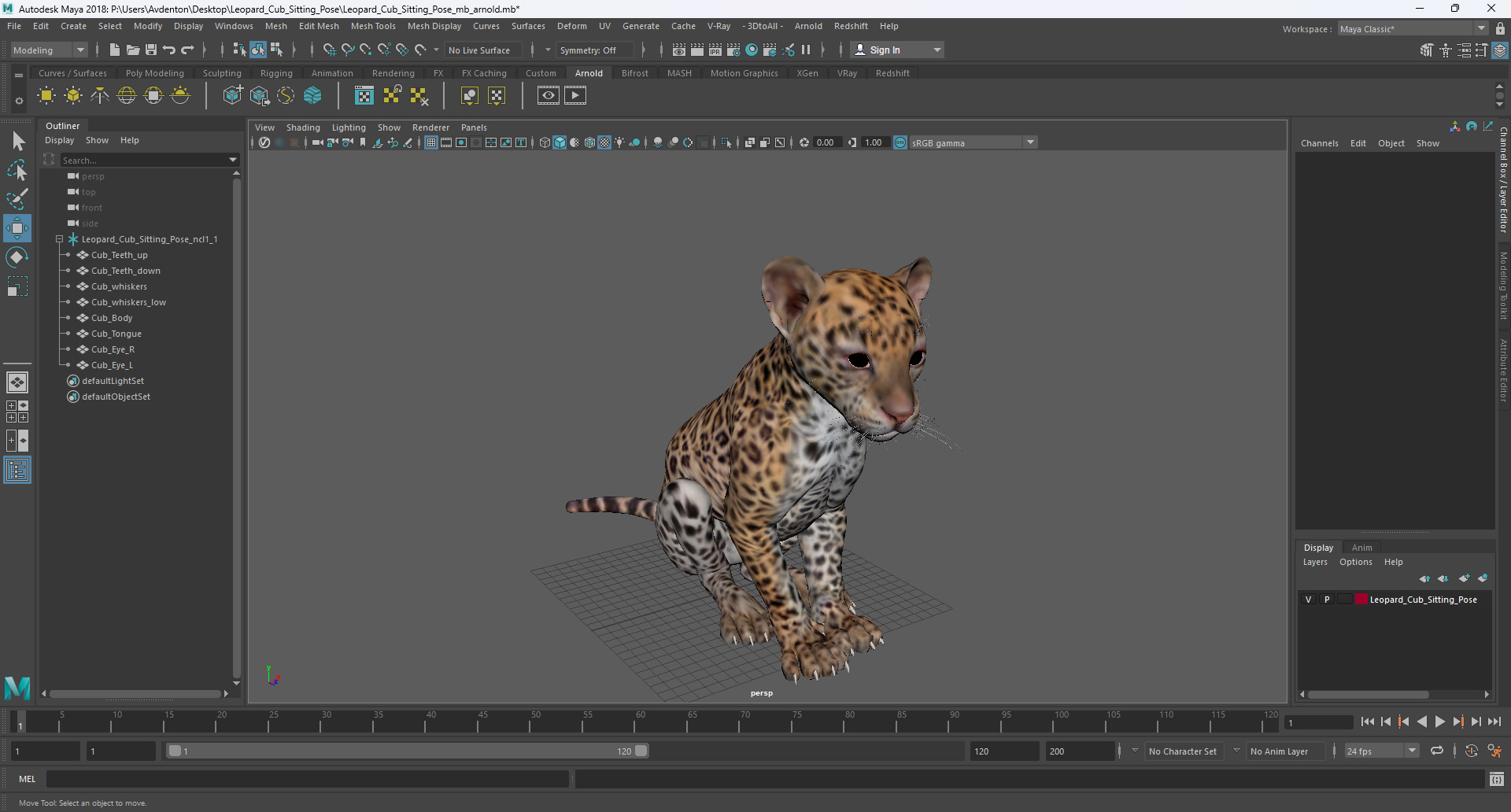 Leopard Cub Sitting Pose 3D model