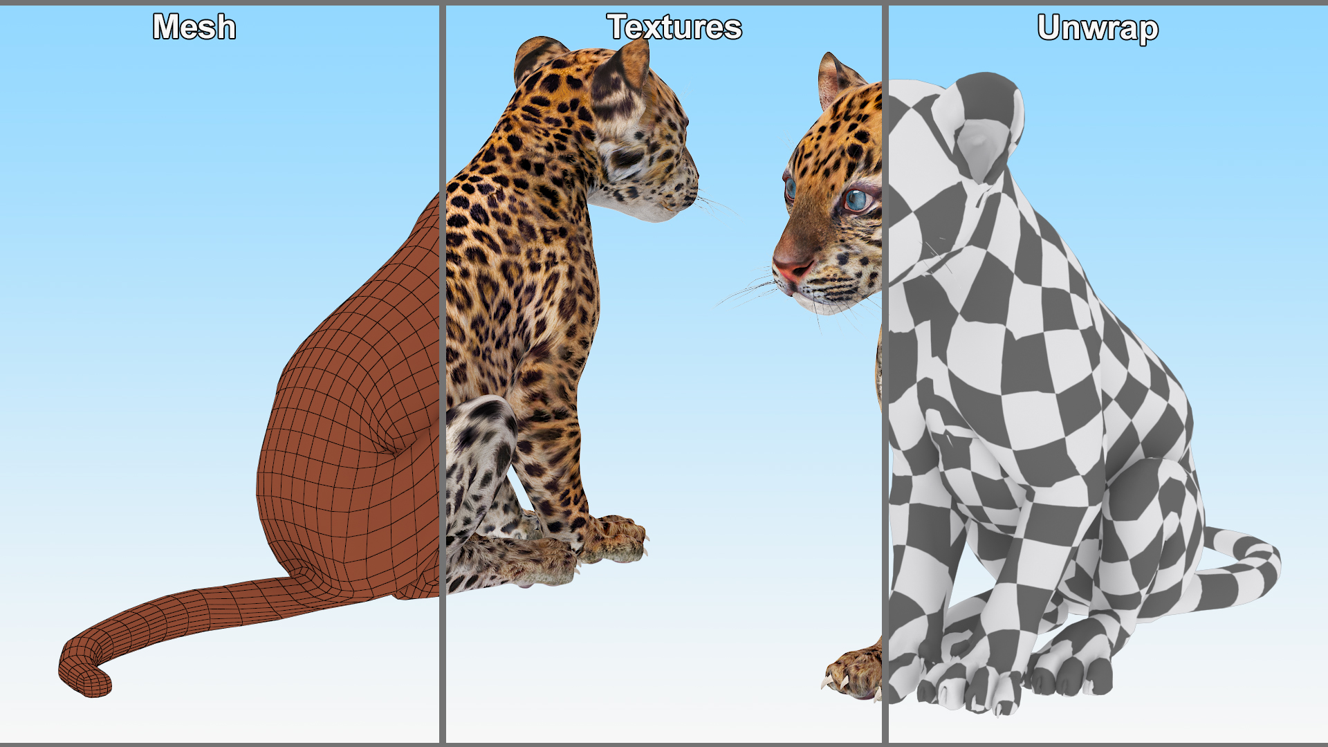 Leopard Cub Sitting Pose 3D model