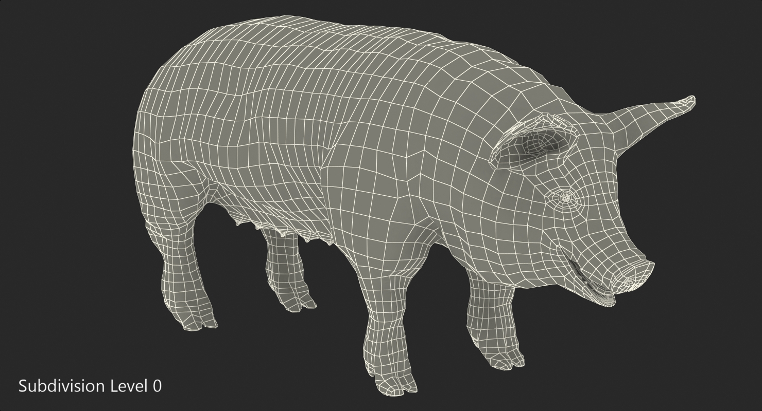3D model Pig Sow Landrace with Fur