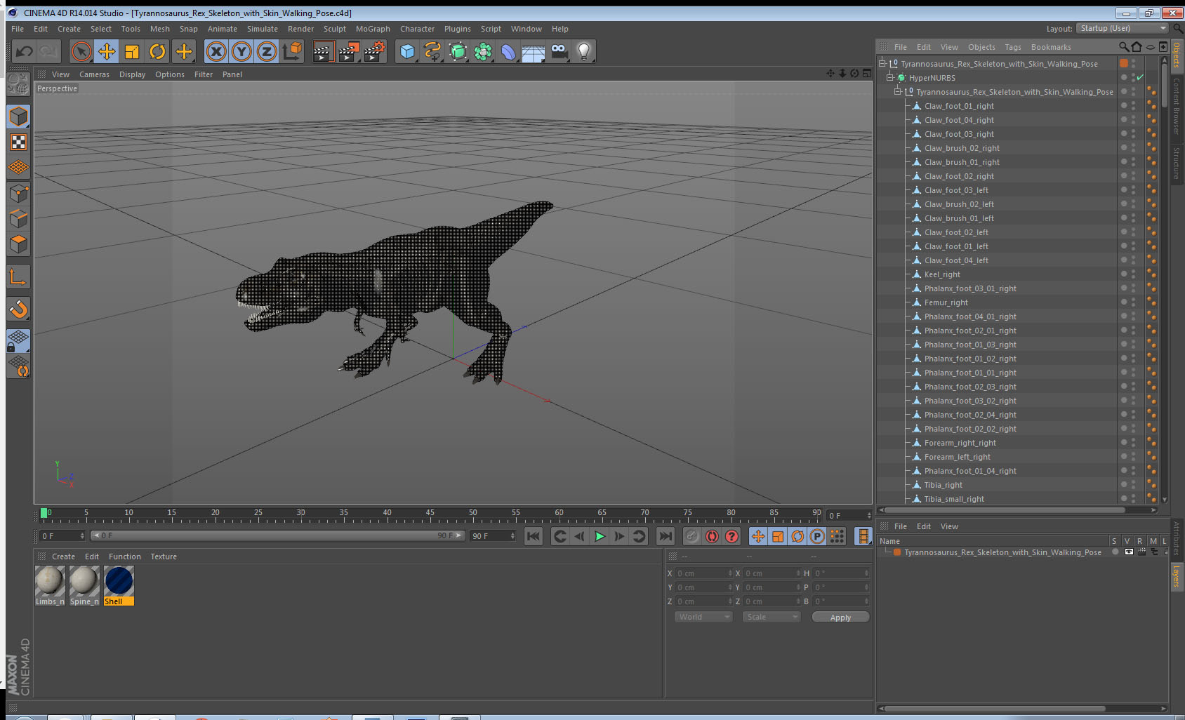 Tyrannosaurus Rex Skeleton with Skin Walking Pose 3D model