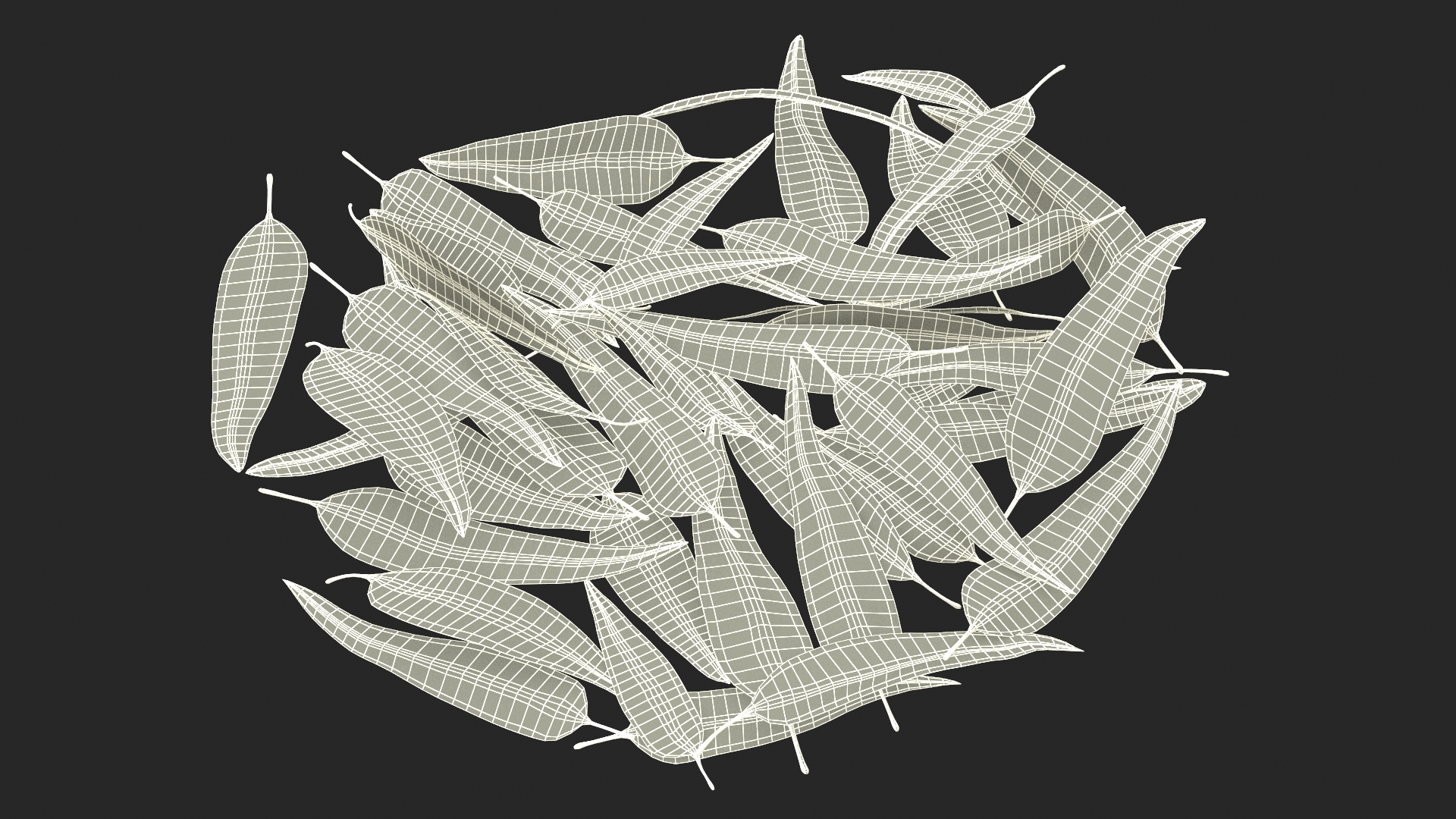 Heap of Dry Eucalyptus Leaves 3D model