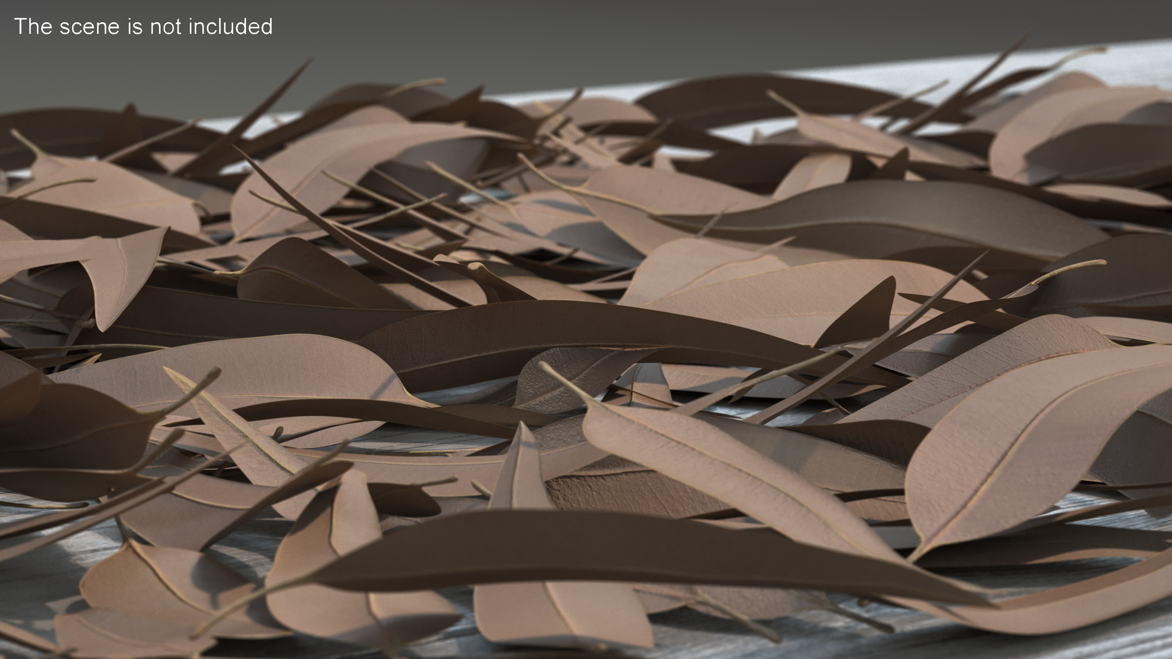 Heap of Dry Eucalyptus Leaves 3D model