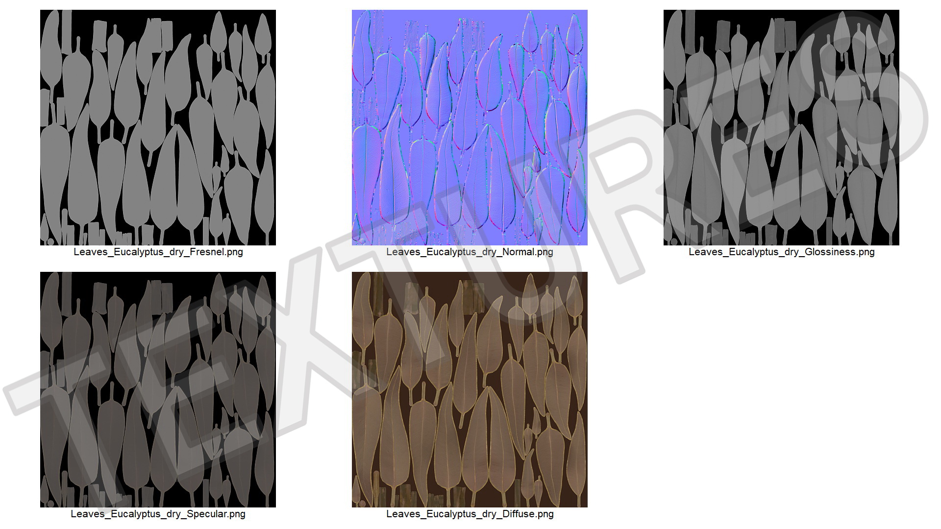 Heap of Dry Eucalyptus Leaves 3D model