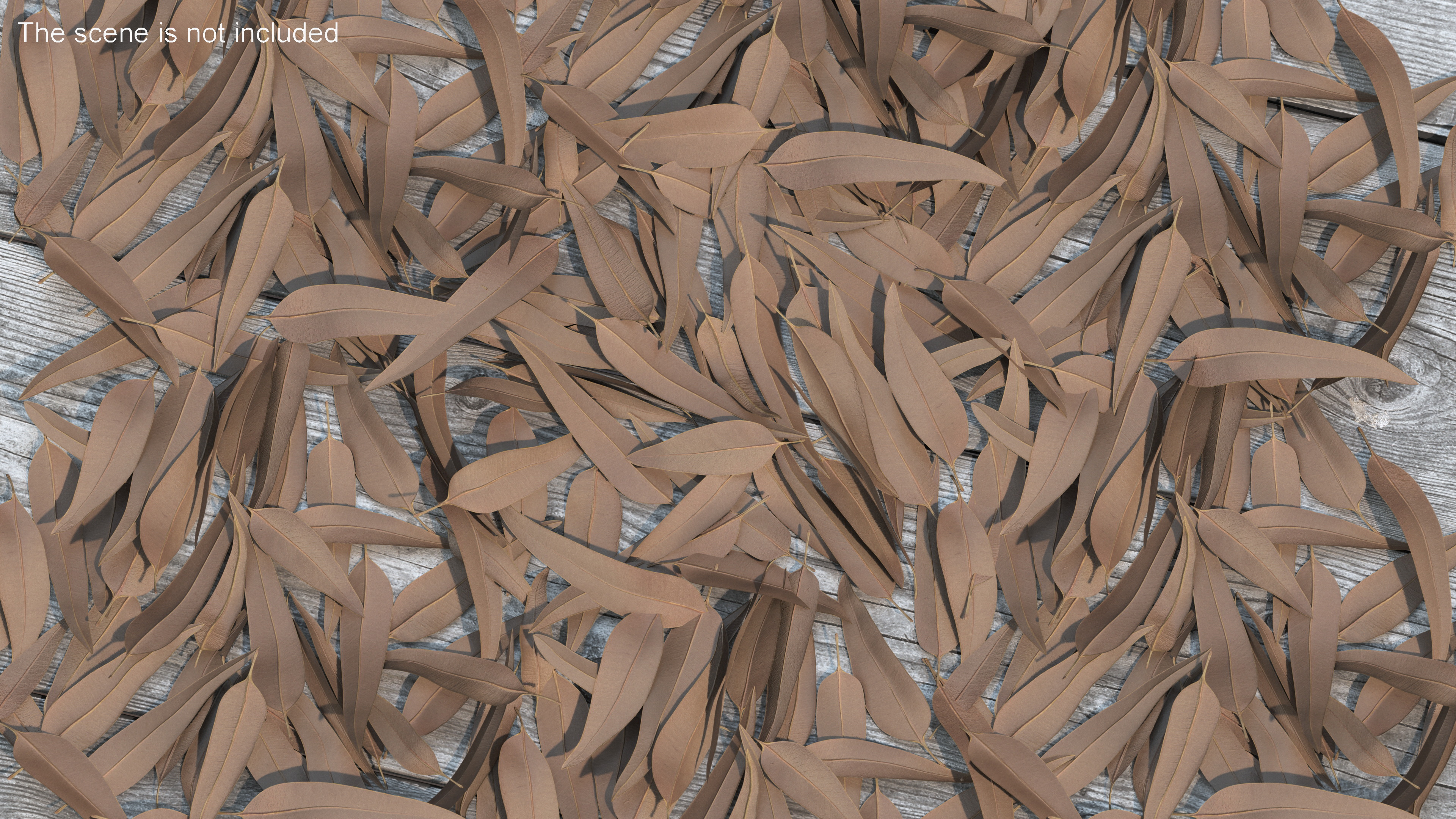 Heap of Dry Eucalyptus Leaves 3D model