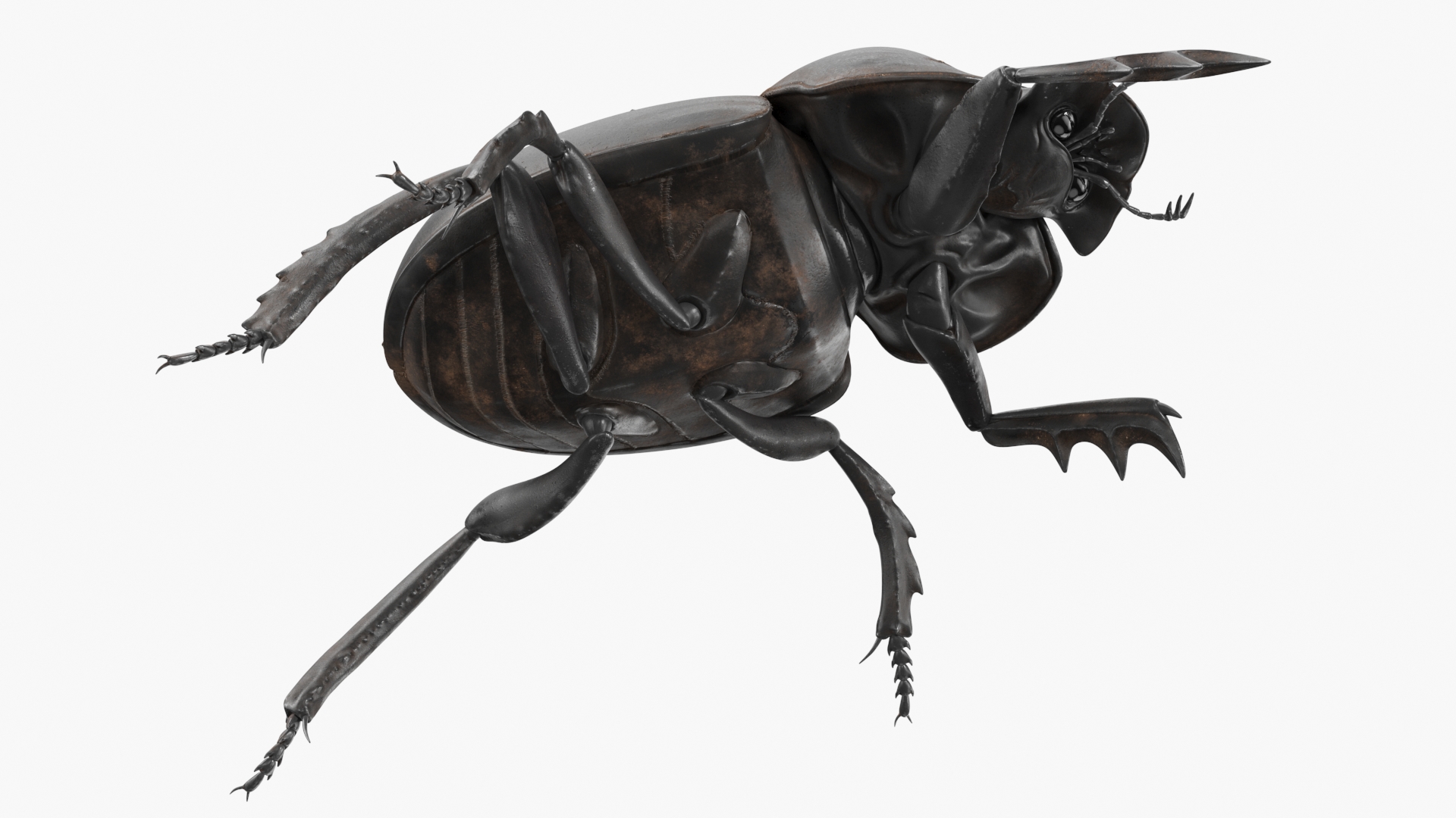 3D model Dung Beetle Crawling Dirt