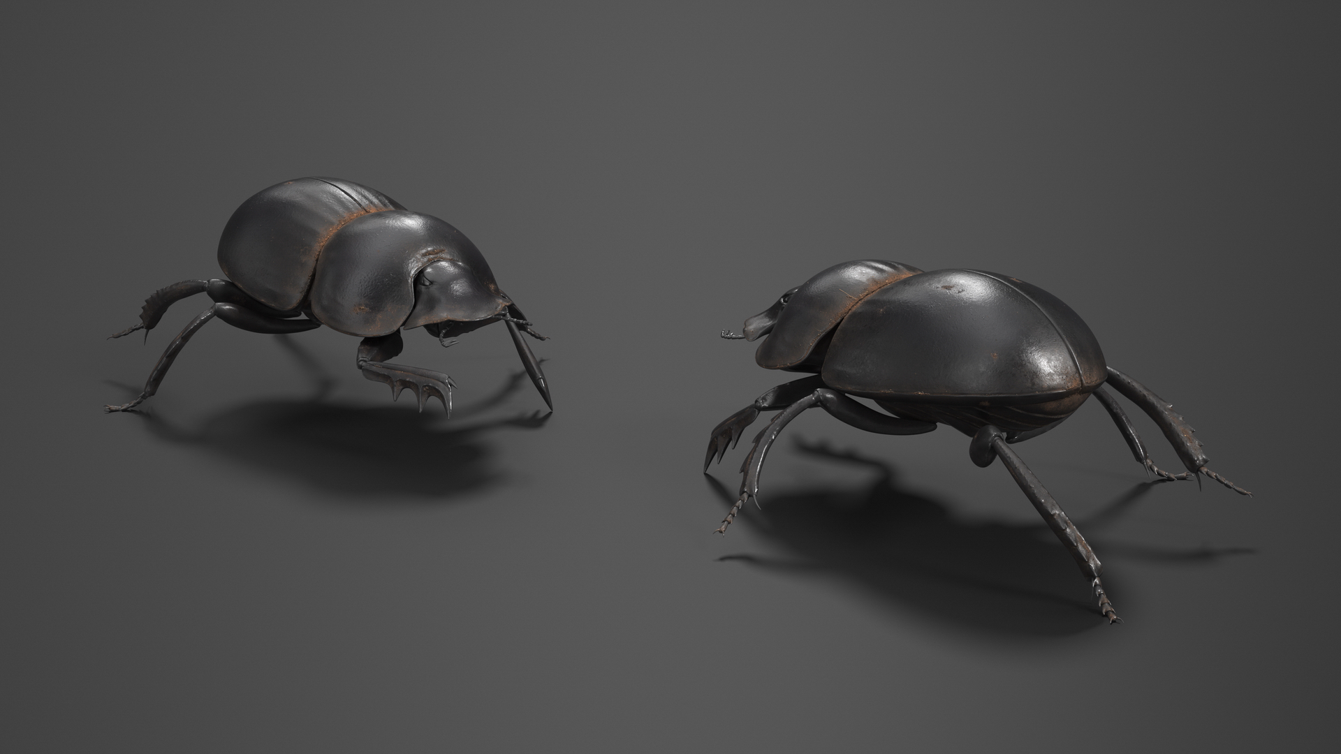 3D model Dung Beetle Crawling Dirt