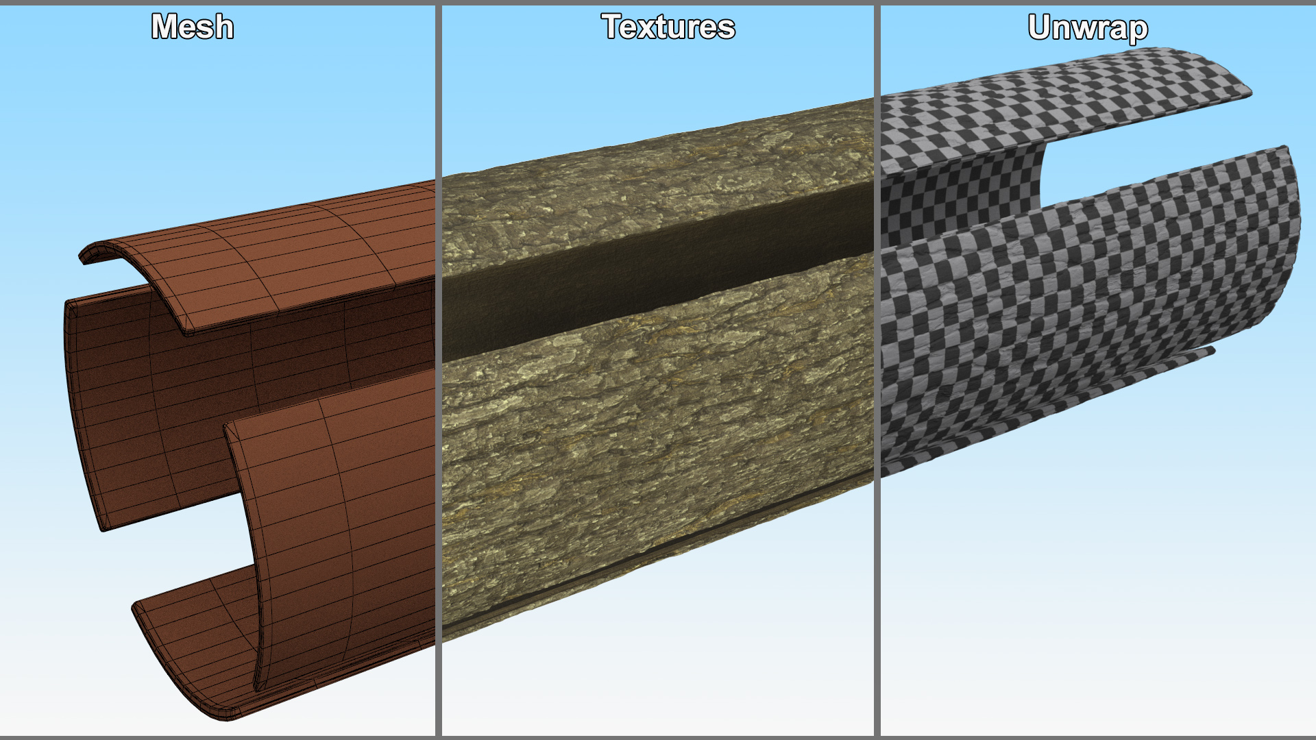 Structure of Wood Bark 3D