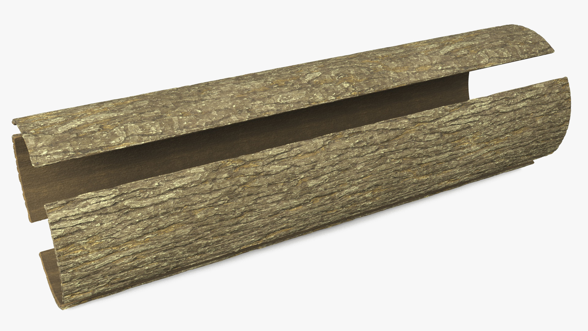 Structure of Wood Bark 3D