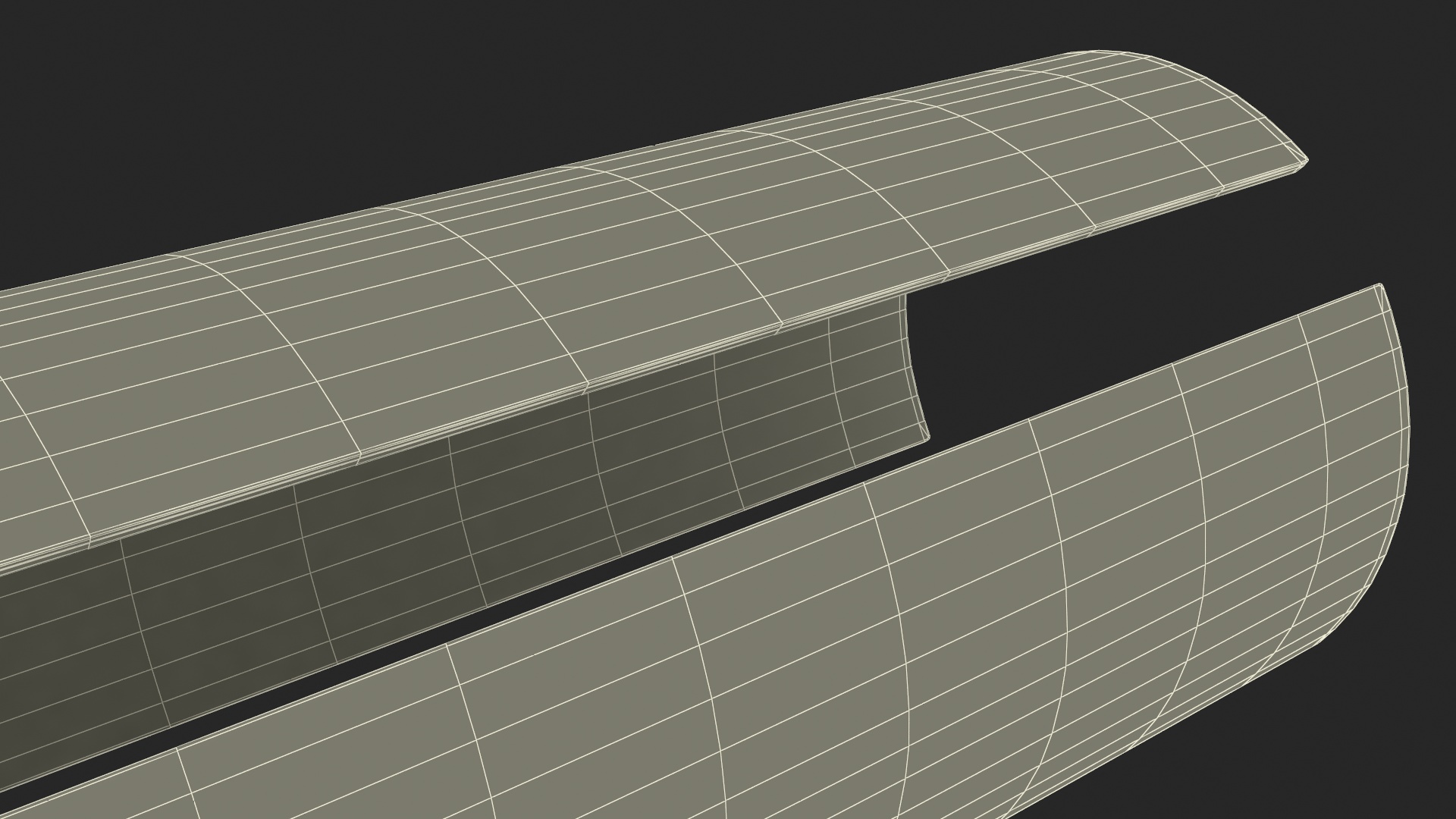Structure of Wood Bark 3D