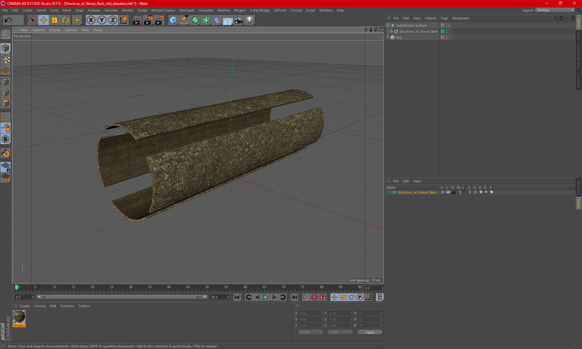 Structure of Wood Bark 3D