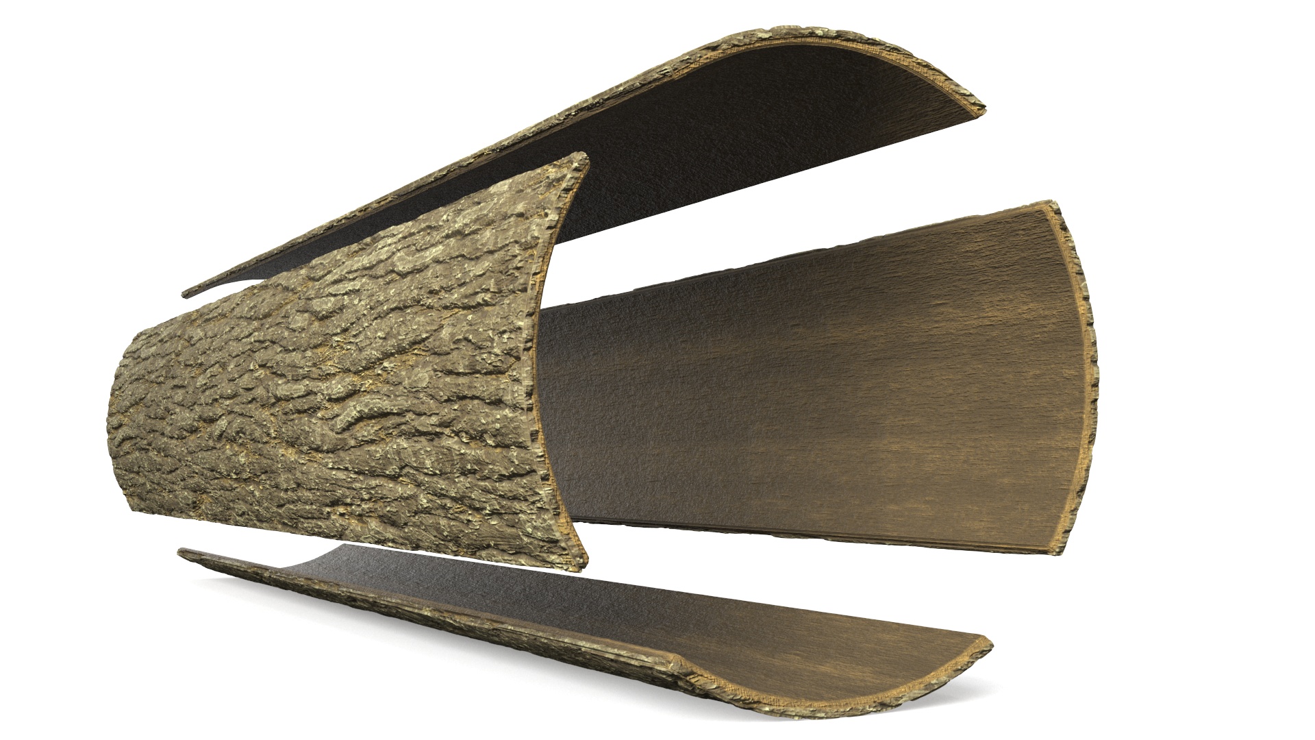 Structure of Wood Bark 3D