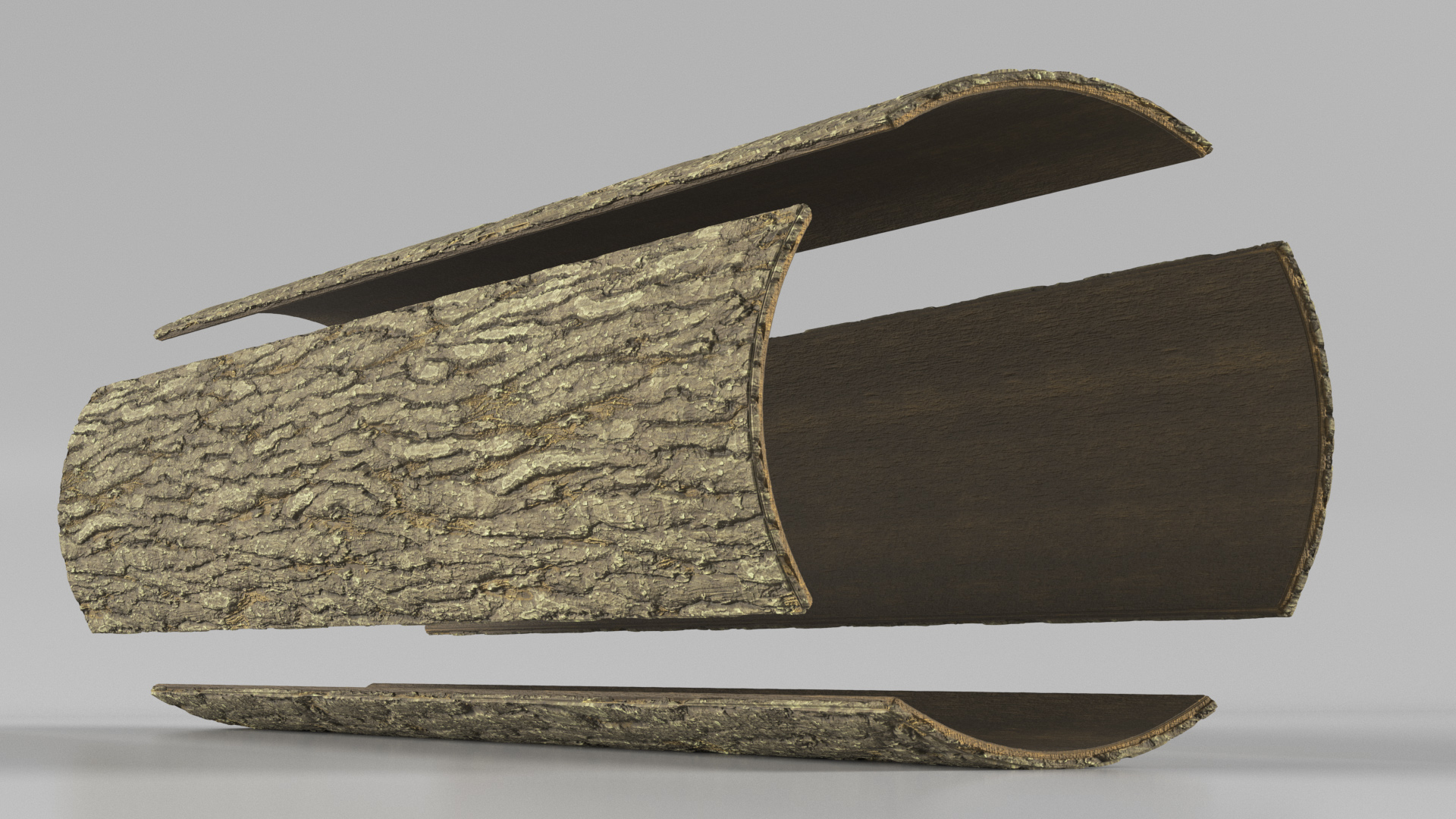 Structure of Wood Bark 3D