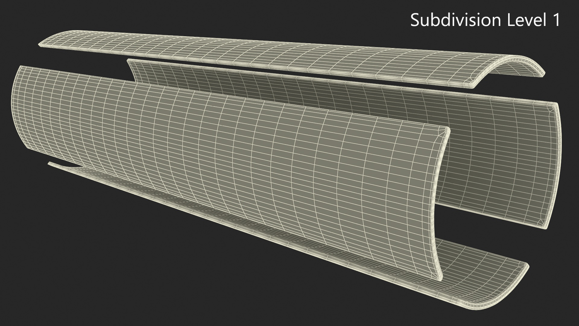 Structure of Wood Bark 3D