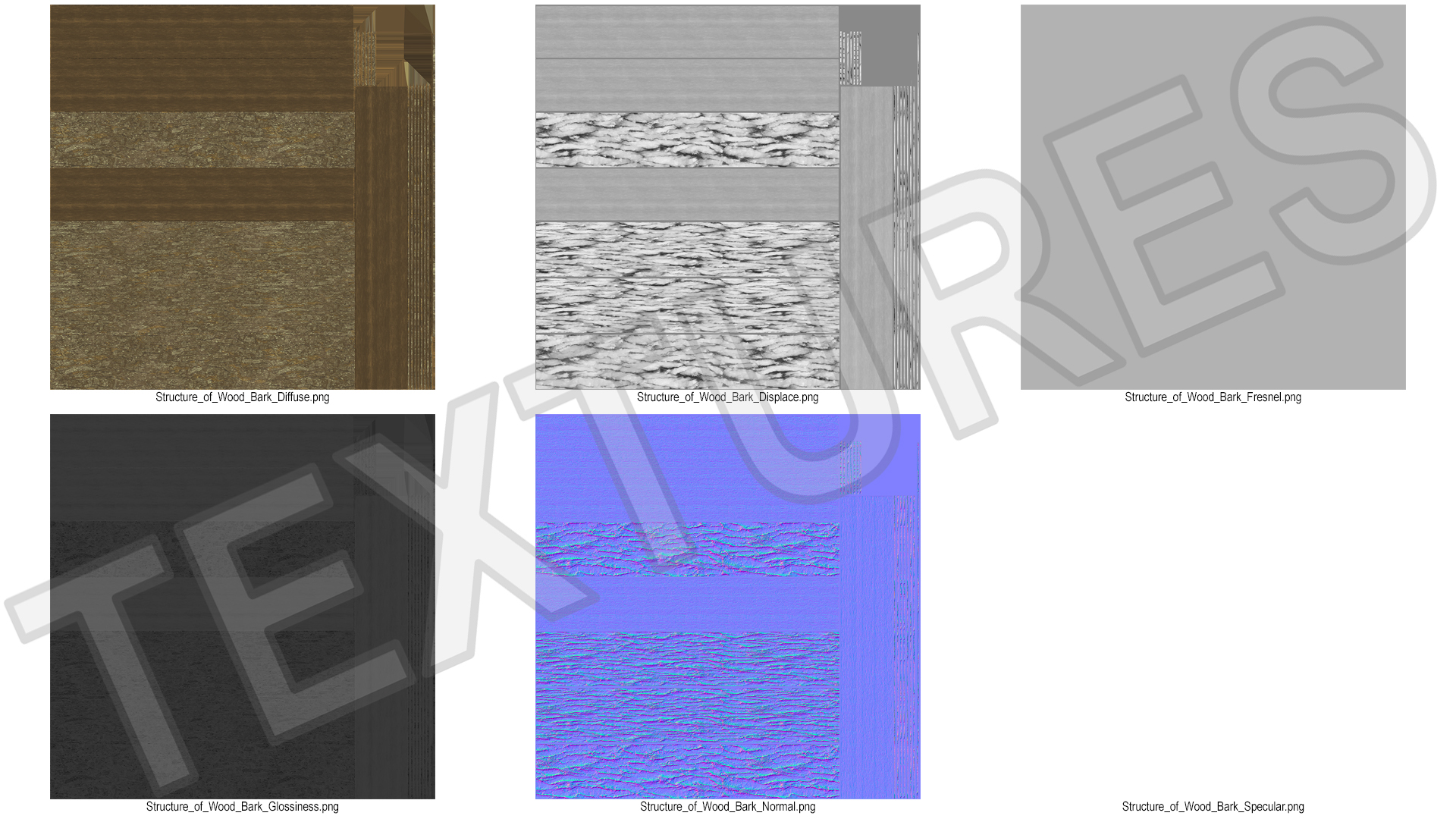 Structure of Wood Bark 3D