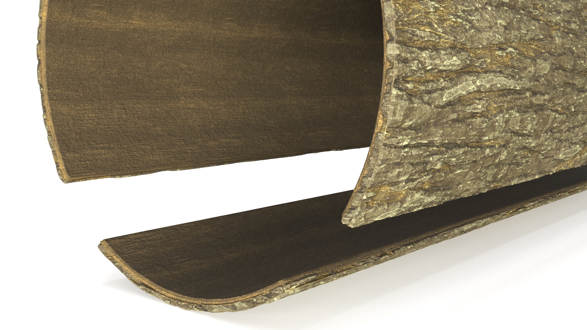 Structure of Wood Bark 3D
