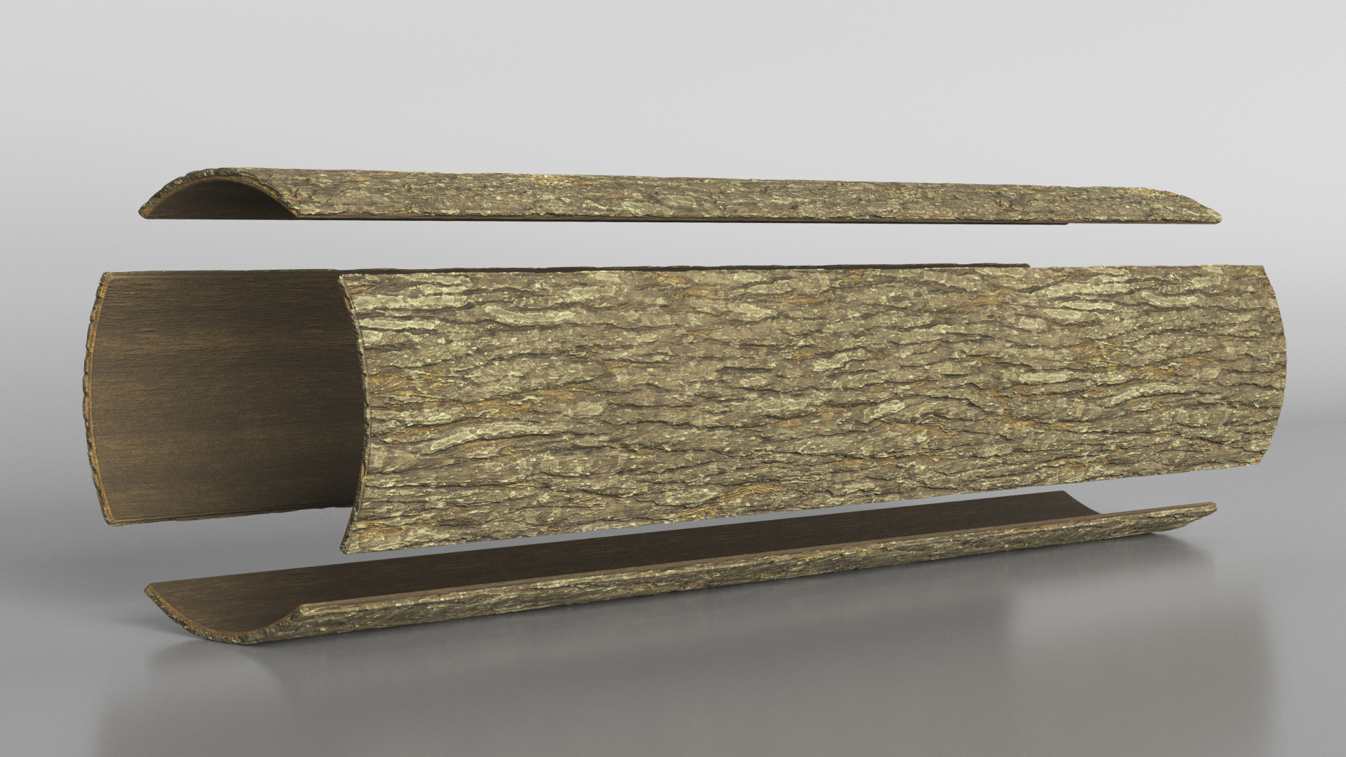 Structure of Wood Bark 3D