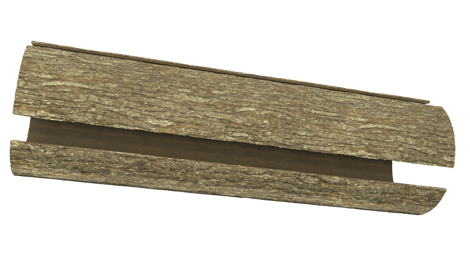 Structure of Wood Bark 3D